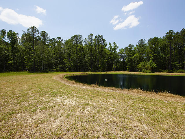 725 Highway 78 Ridgeville Sc 29472 Ridgeville, SC 29472 - Photo 36 of 39 36