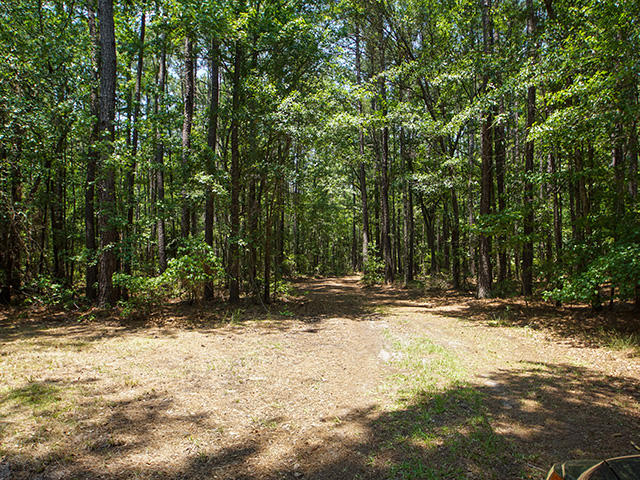 725 Highway 78 Ridgeville Sc 29472 Ridgeville, SC 29472 - Photo 39 of 39 39