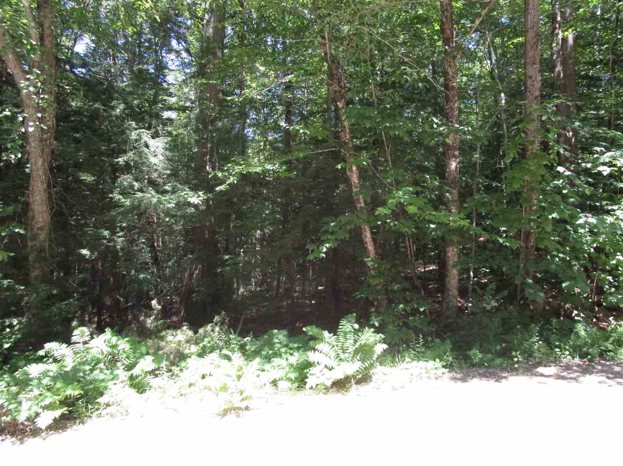 0 Bridge Road, Unit 20/388 205 Andover, NH 03216 - Photo 2 of 4 Gallery Image 2