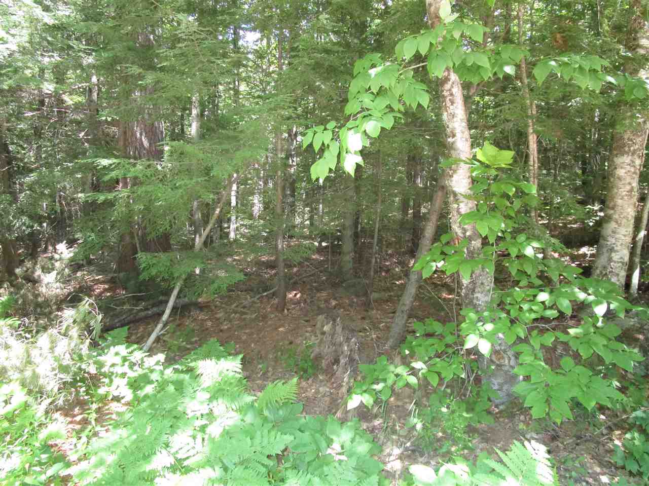 0 Bridge Road, Unit 20/388 205 Andover, NH 03216 - Photo 3 of 4 Gallery Image 3