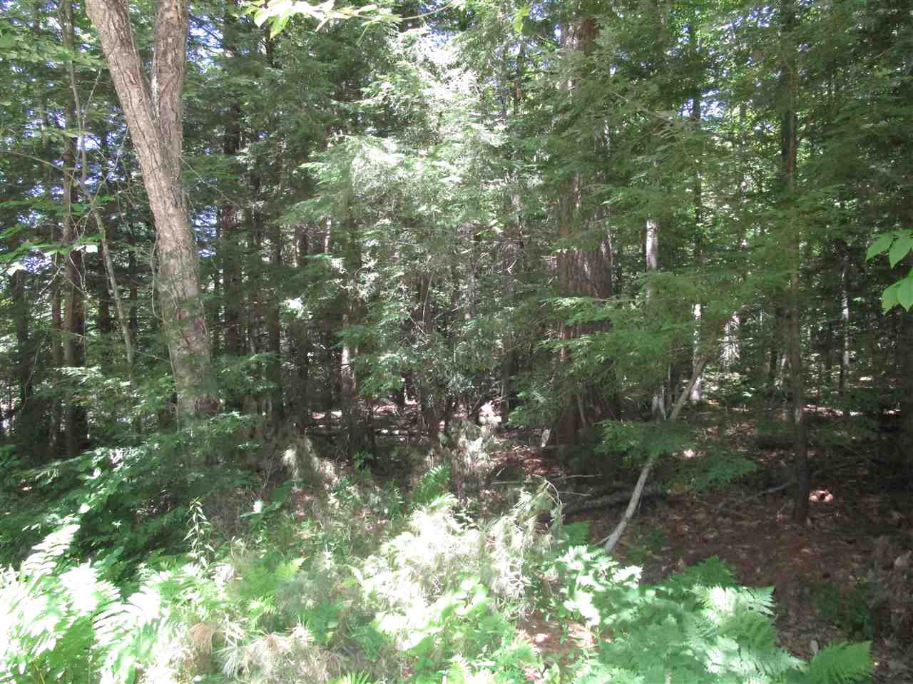 0 Bridge Road, Unit 20/388 205 Andover, NH 03216 - Photo 4 of 4 Gallery Image 4
