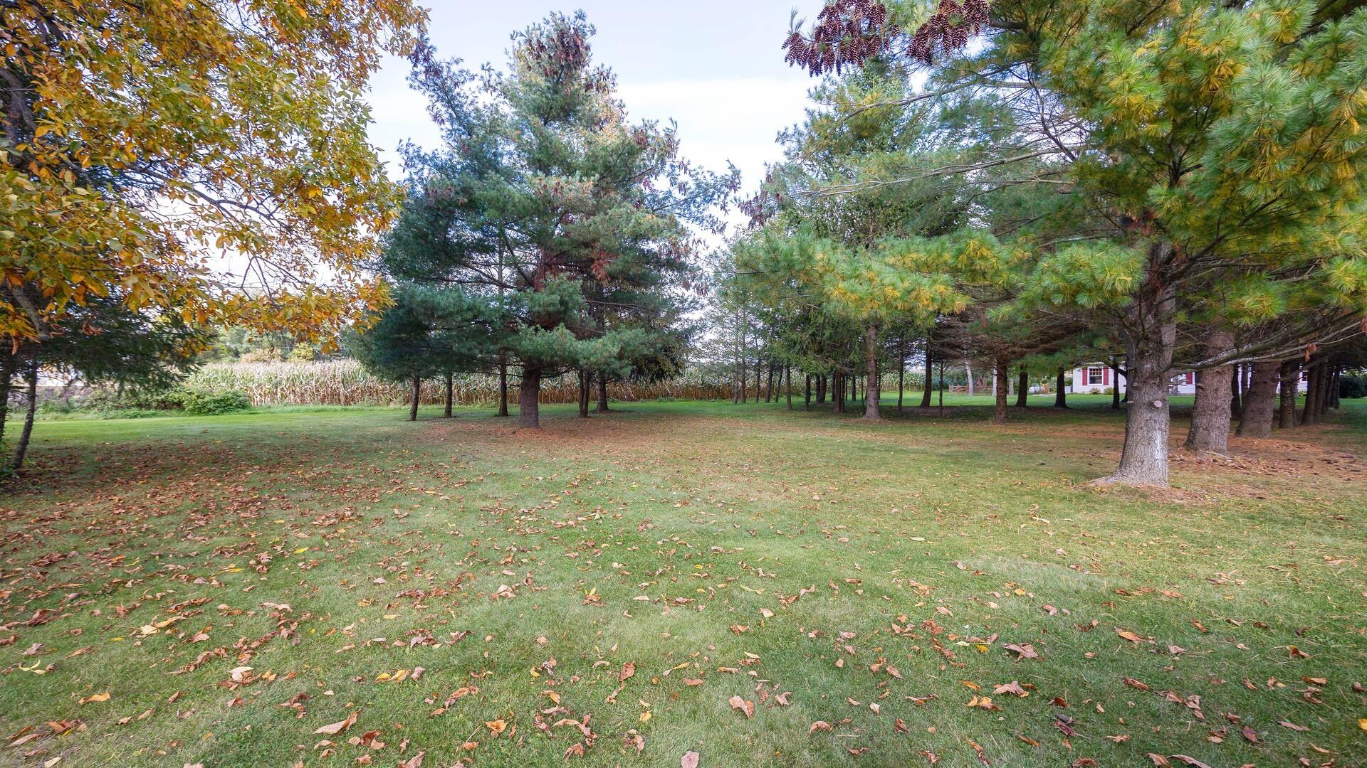 11725 Hardcastle Road Brooklyn, MI 49230 - Photo 20 of 63 00__17