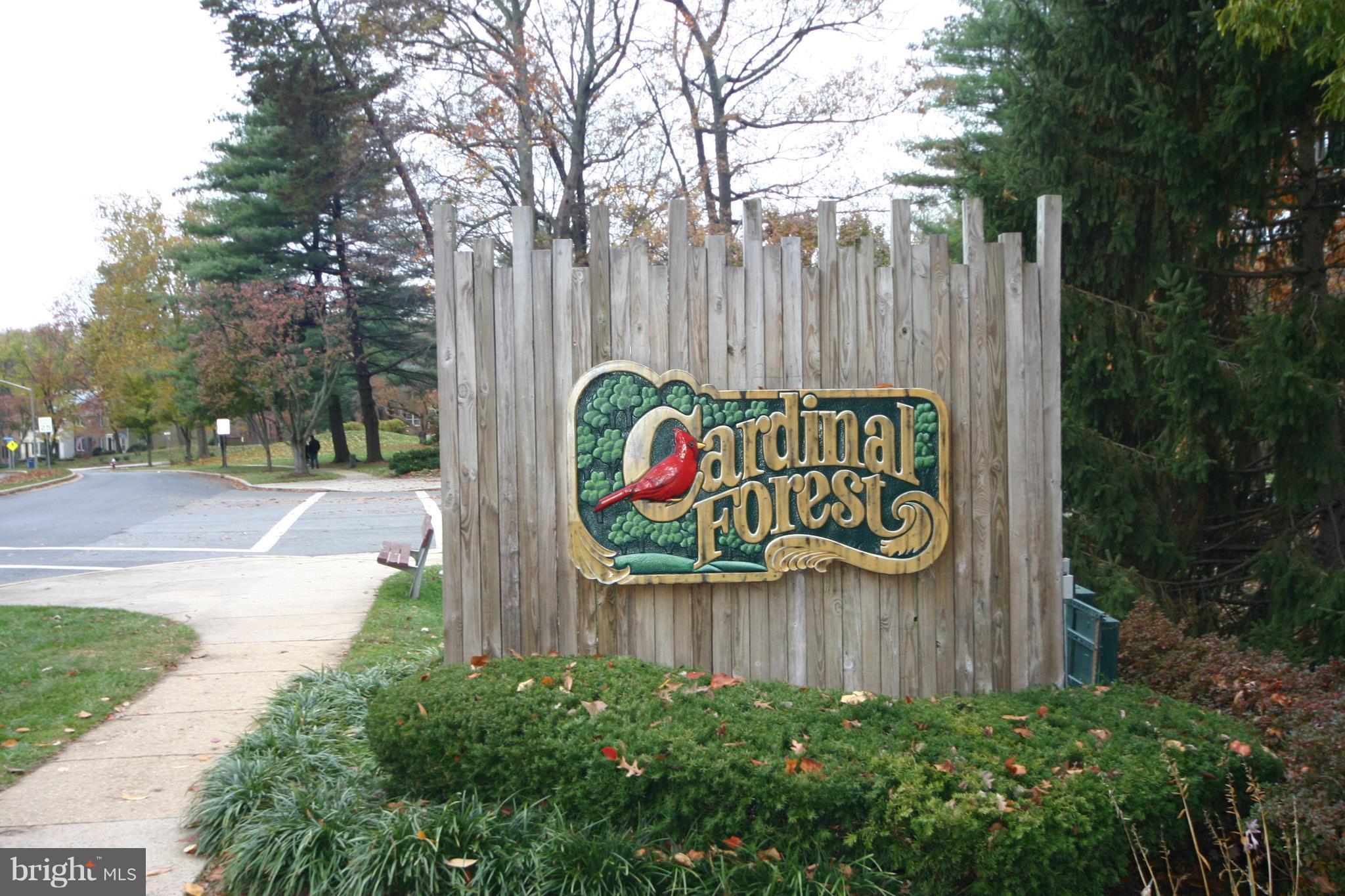 5903 Kingsford Road, Unit H Springfield, VA 22152 - Photo 13 of 18 Popular Cardinal Forest