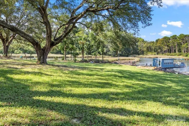 a view of a lake with a large trees in the background