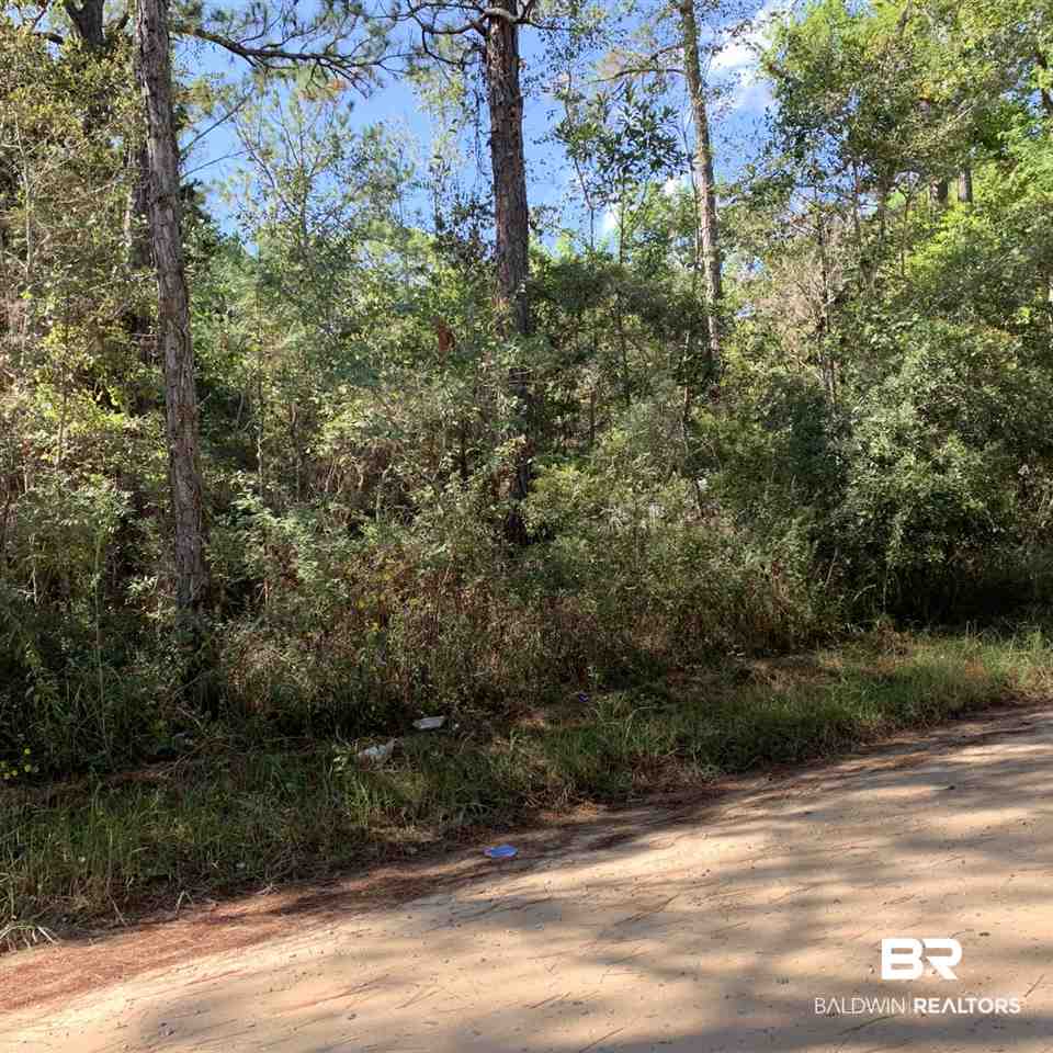 Dakota Drive Coden, AL 36523 - Photo 3 of 3
