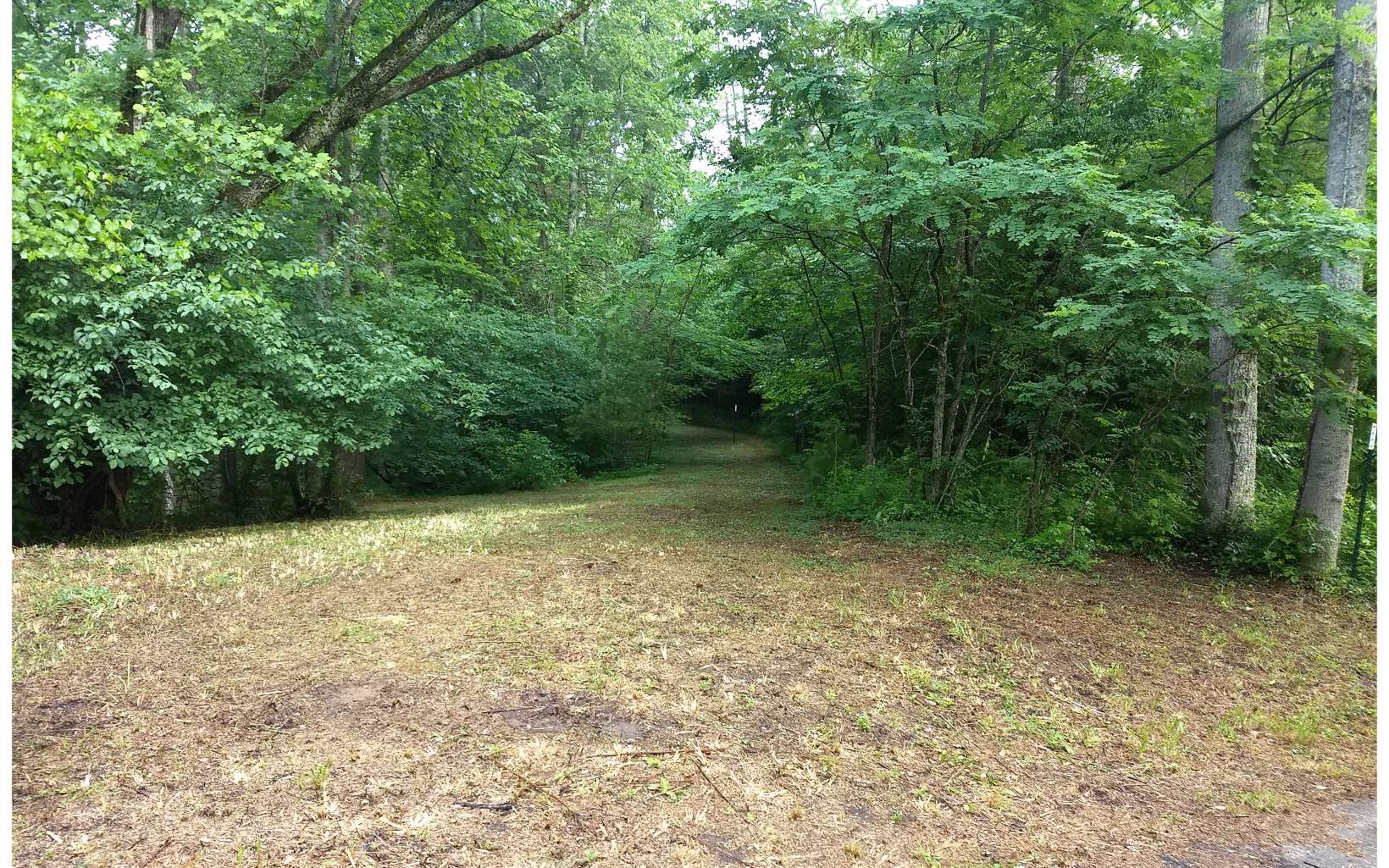 M7 Awahili Rdg Road Murphy, NC 28906 - Photo 1 of 1 a view of backyard with green space