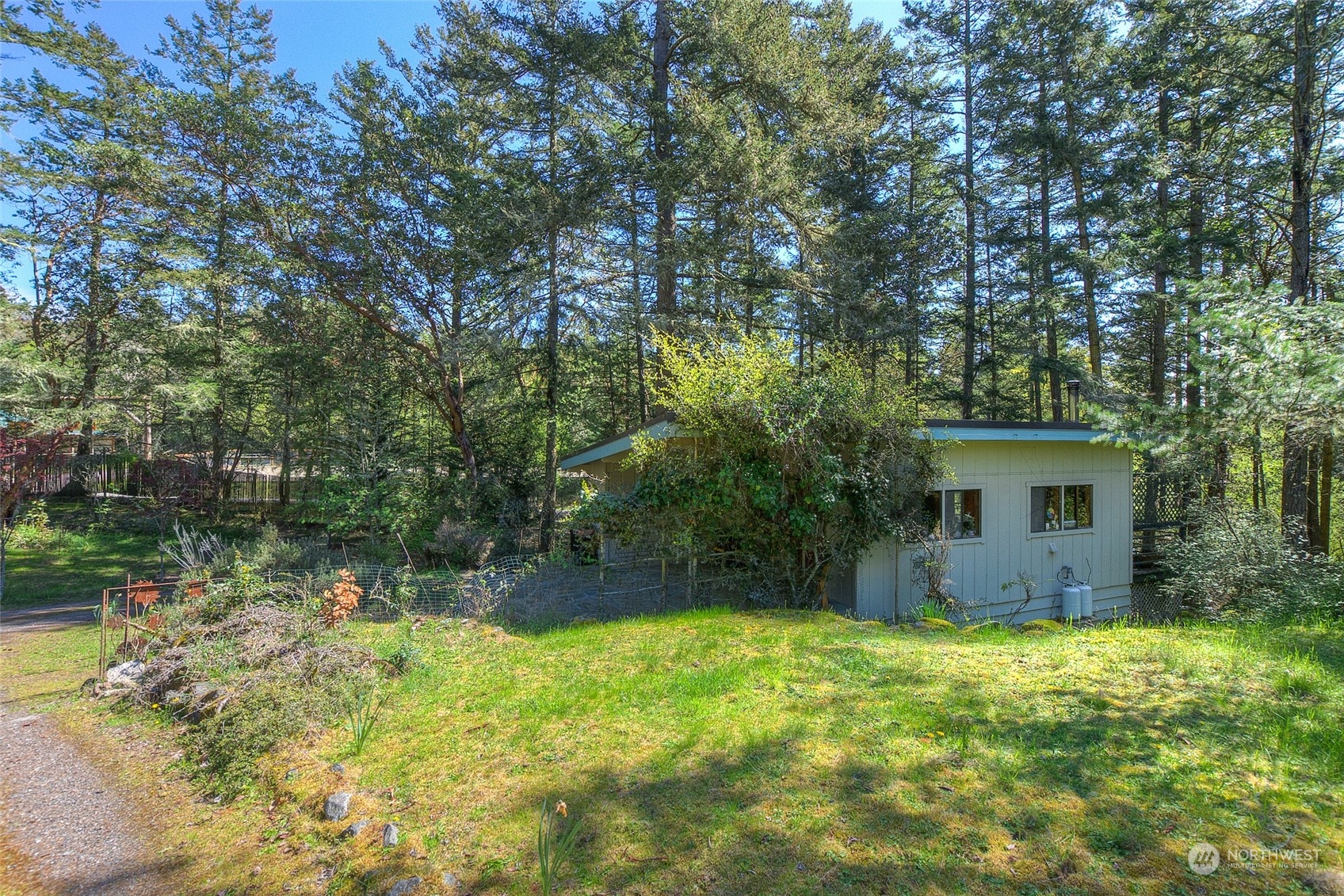 153 Exton Road Orcas Island, WA 98280 - Photo 22 of 30 a backyard of a house with plants and large tree