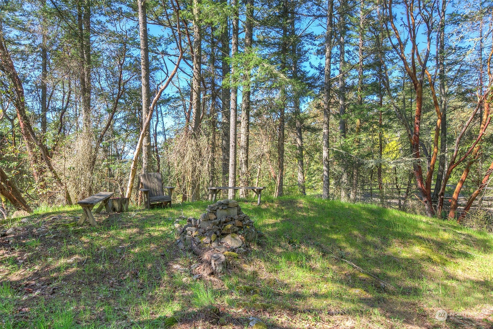 153 Exton Road Orcas Island, WA 98280 - Photo 30 of 30 a big yard with lots of green space and trees