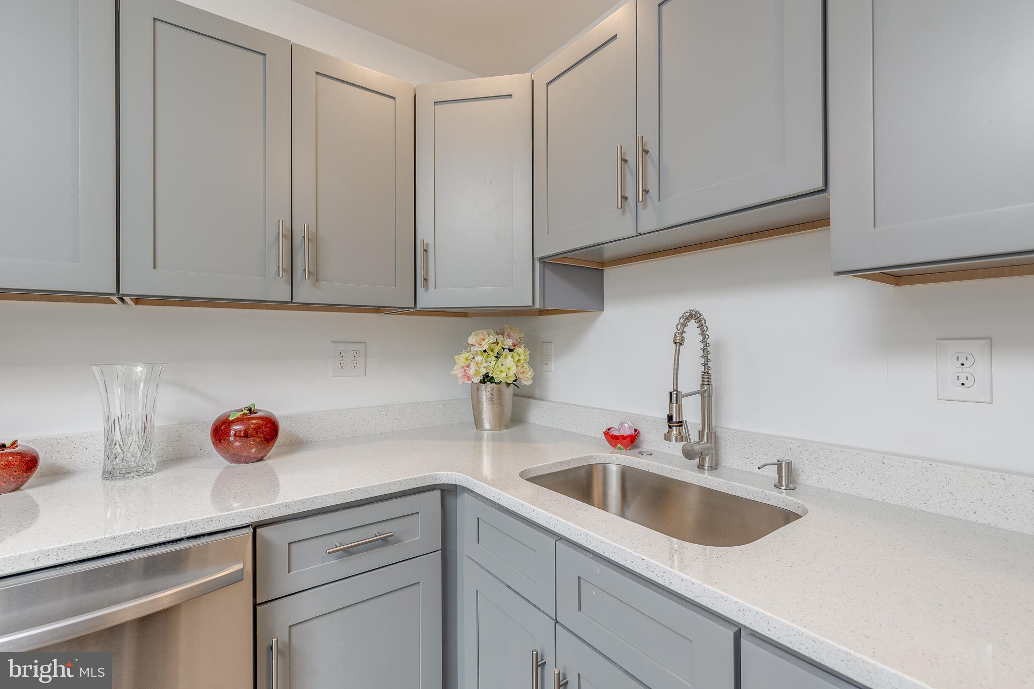 705 Mason Run Pine Hill, NJ 08021 - Photo 8 of 33 a close view of sink and cabinets