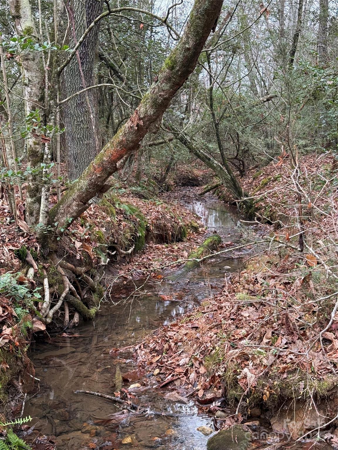 a backyard of a house