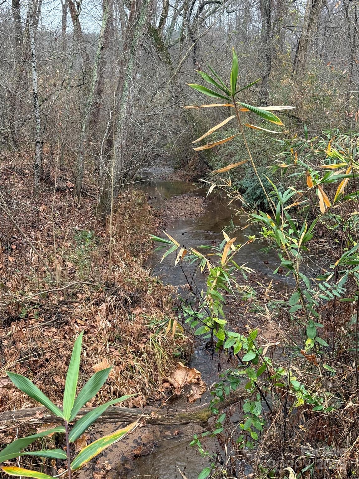 0 Oak Hill School Road Granite Falls, NC 28630 - Photo 3 of 8 a view of a yard