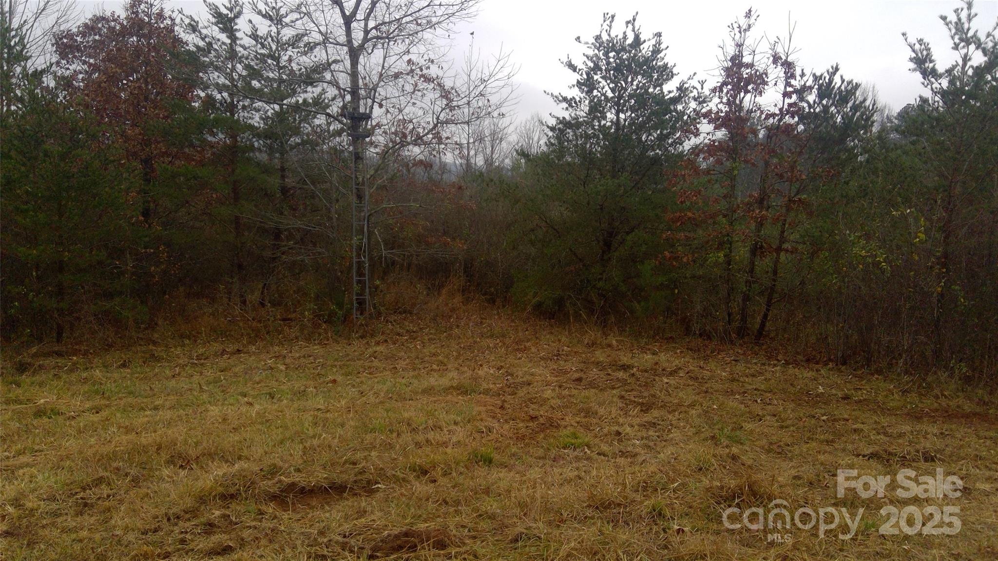 0 Oak Hill School Road Granite Falls, NC 28630 - Photo 5 of 8 a view of room with trees