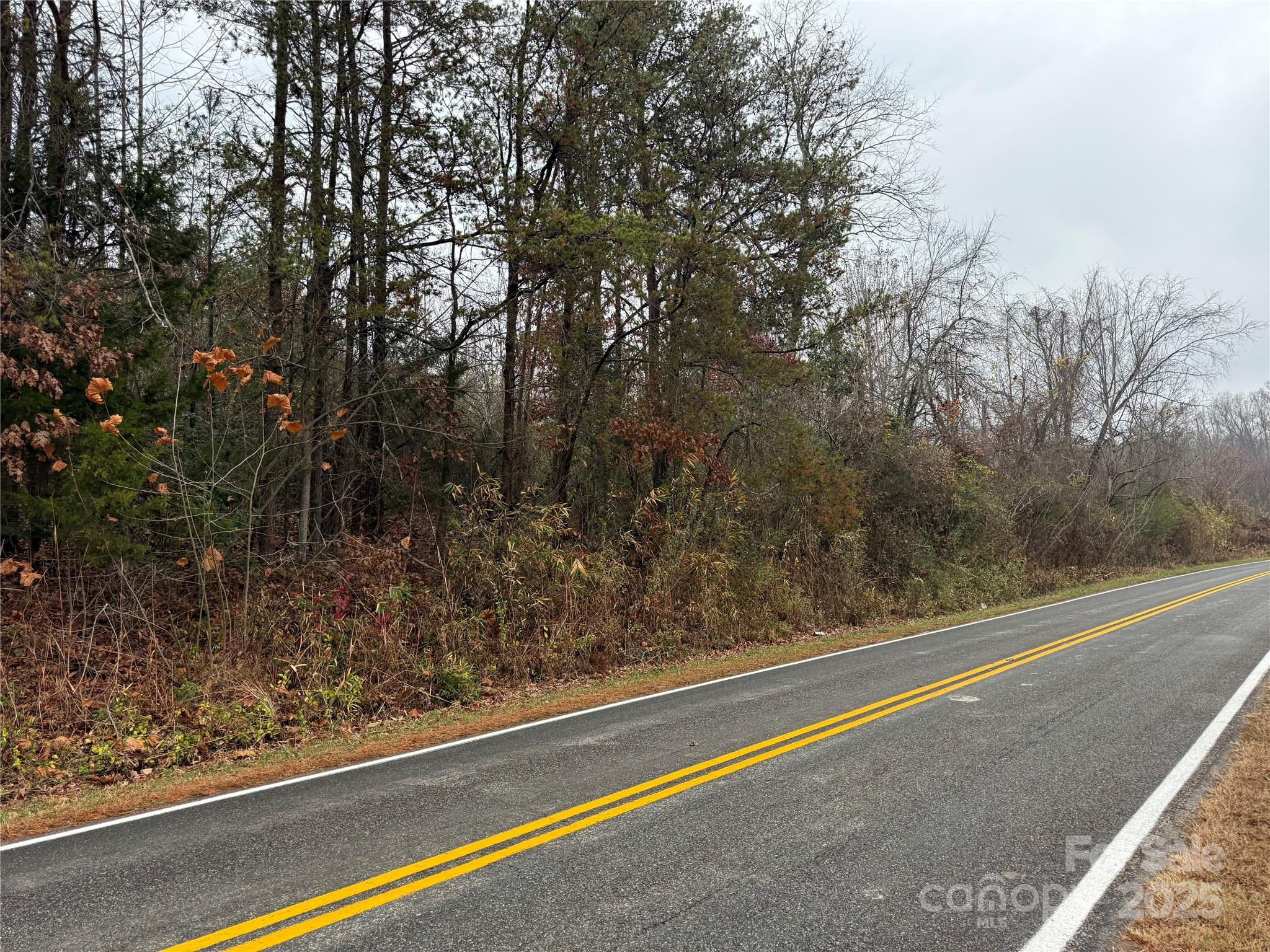 0 Oak Hill School Road Granite Falls, NC 28630 - Photo 6 of 8 a view of a forest