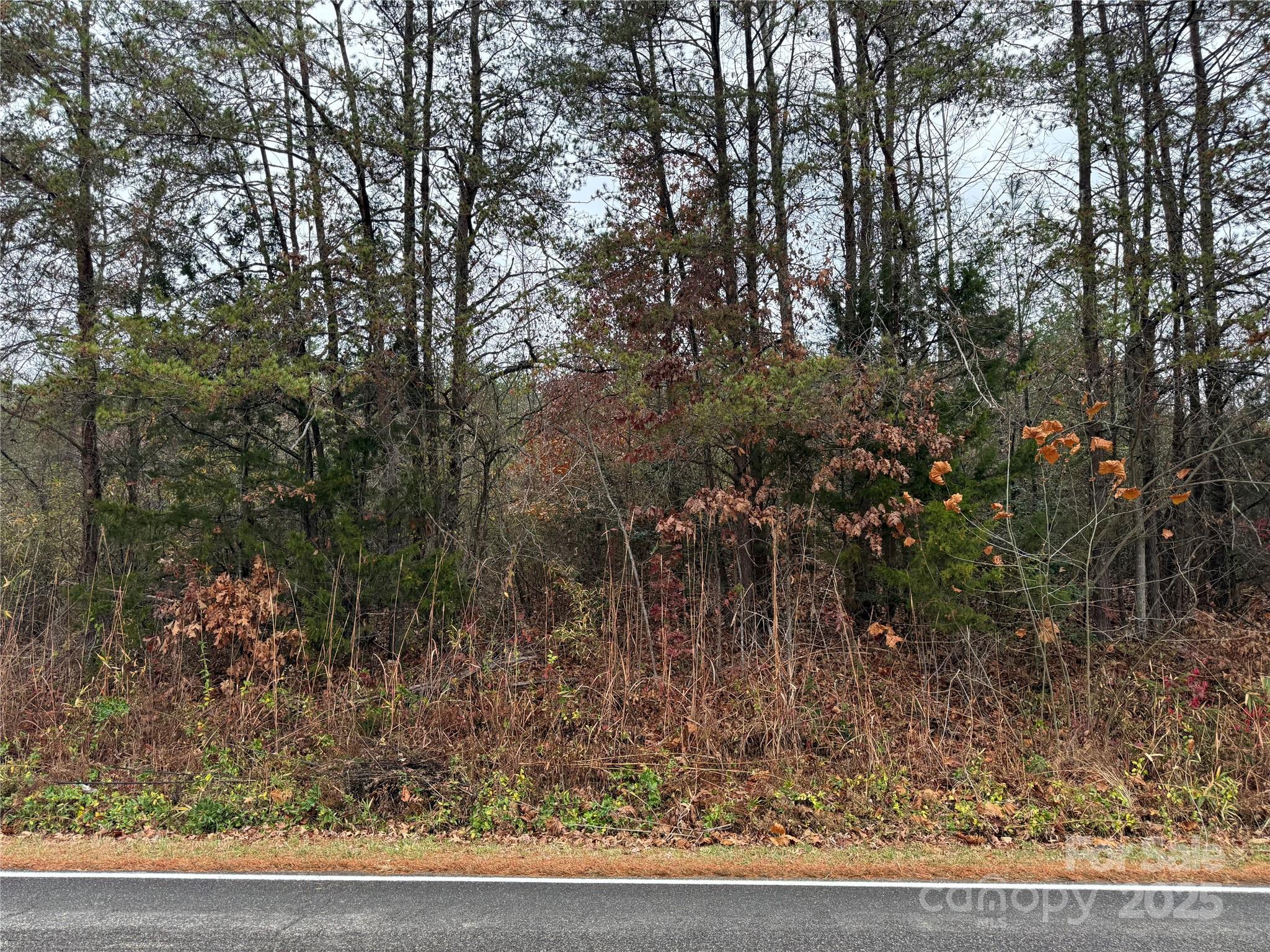 0 Oak Hill School Road Granite Falls, NC 28630 - Photo 7 of 8 a view of a yard