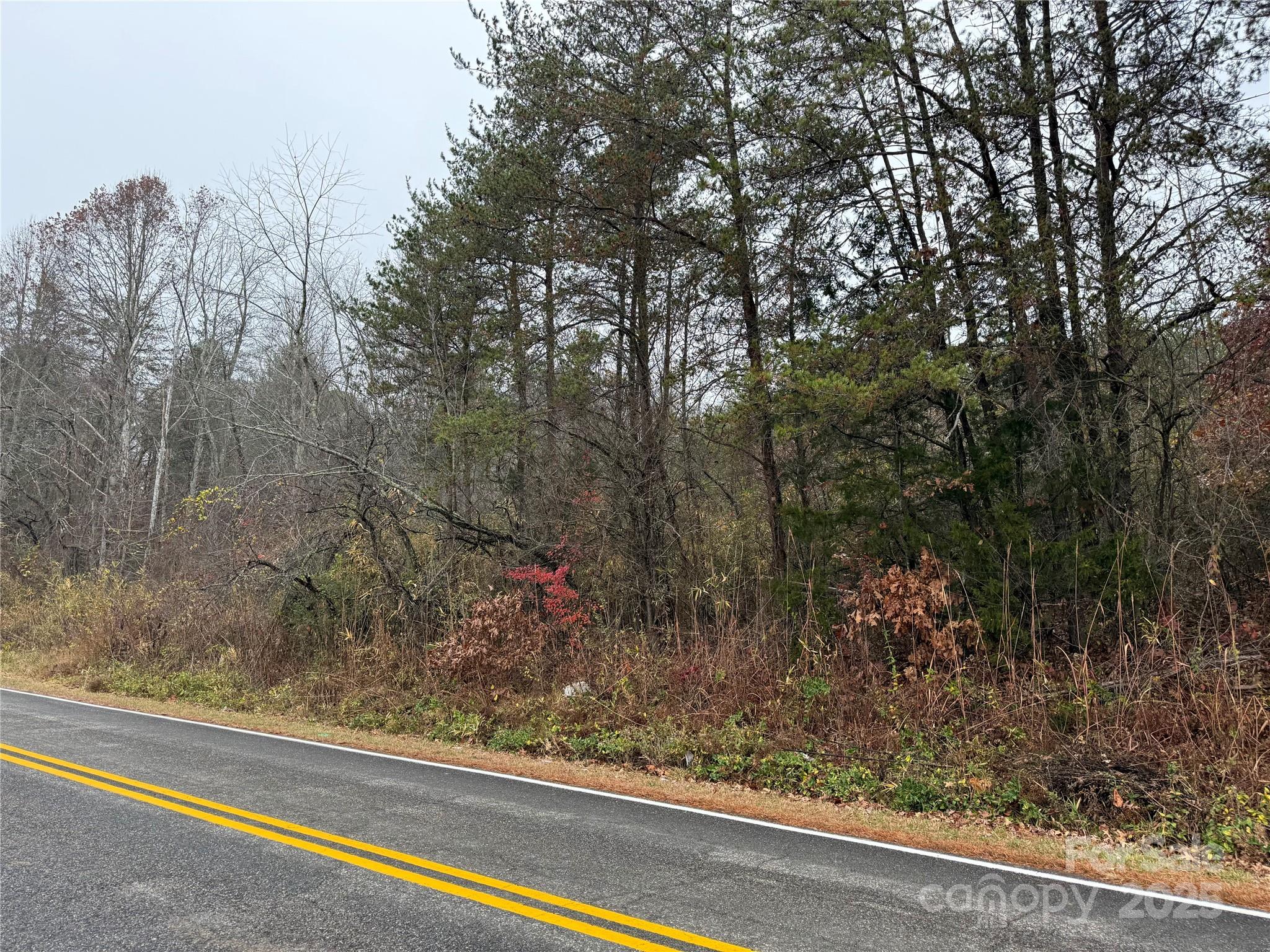 0 Oak Hill School Road Granite Falls, NC 28630 - Photo 8 of 8 a view of a yard from a window