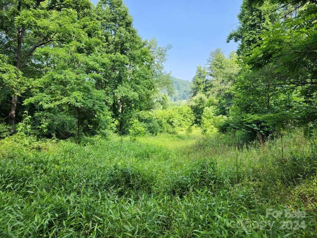 0 Hickory Nut Ridge Road, Unit 10 Burnsville, NC 28714 - Photo 2 of 17 Gallery Image 2