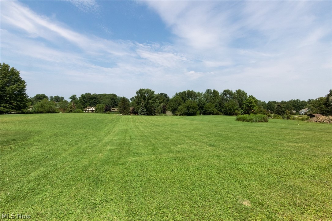 29385 Chardon Road Wickliffe, OH 44092 - Photo 29 of 29 An acre of joy!