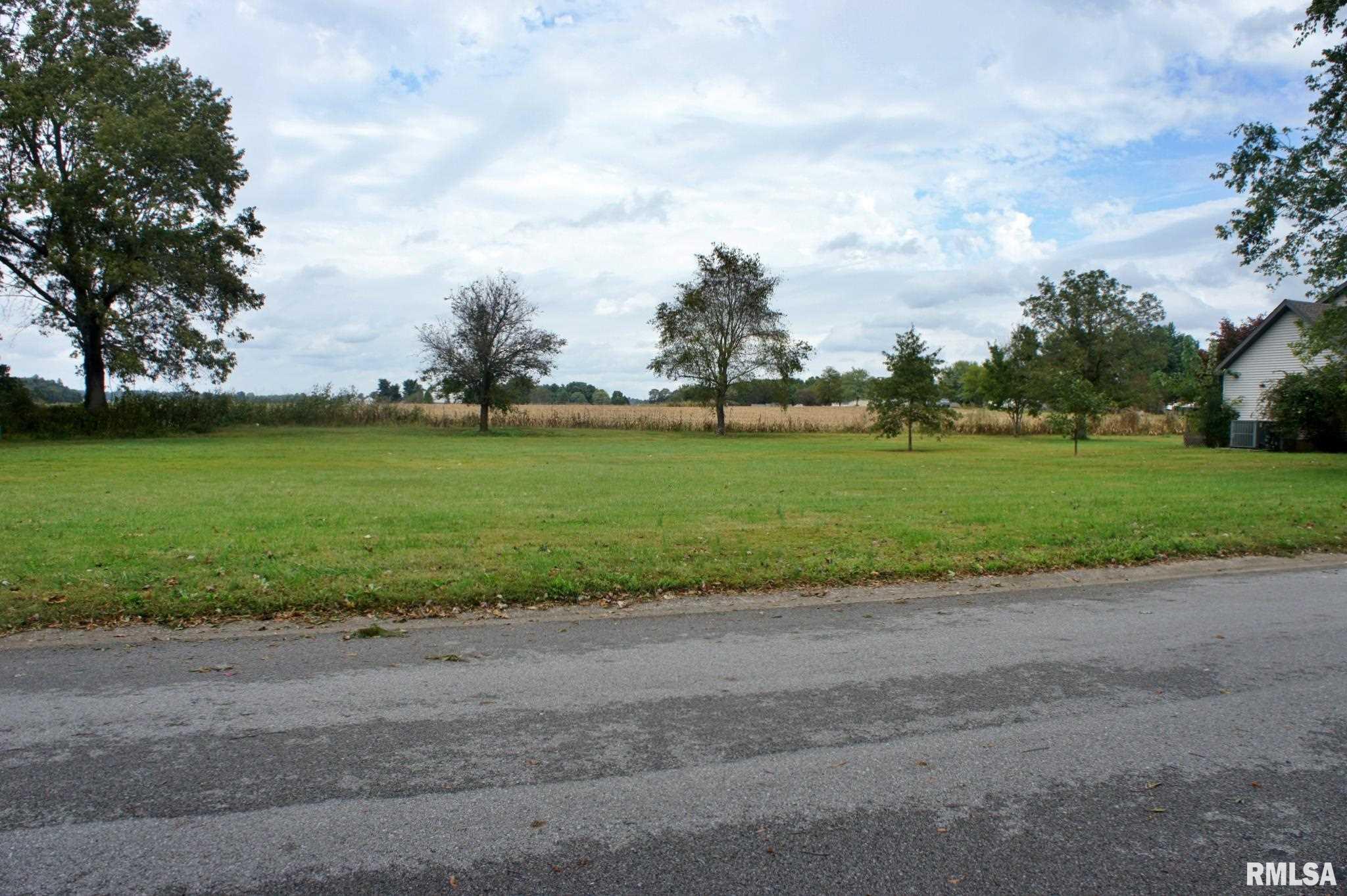 0 Hawthorne Lane Metropolis, IL 62960 - Photo 11 of 14