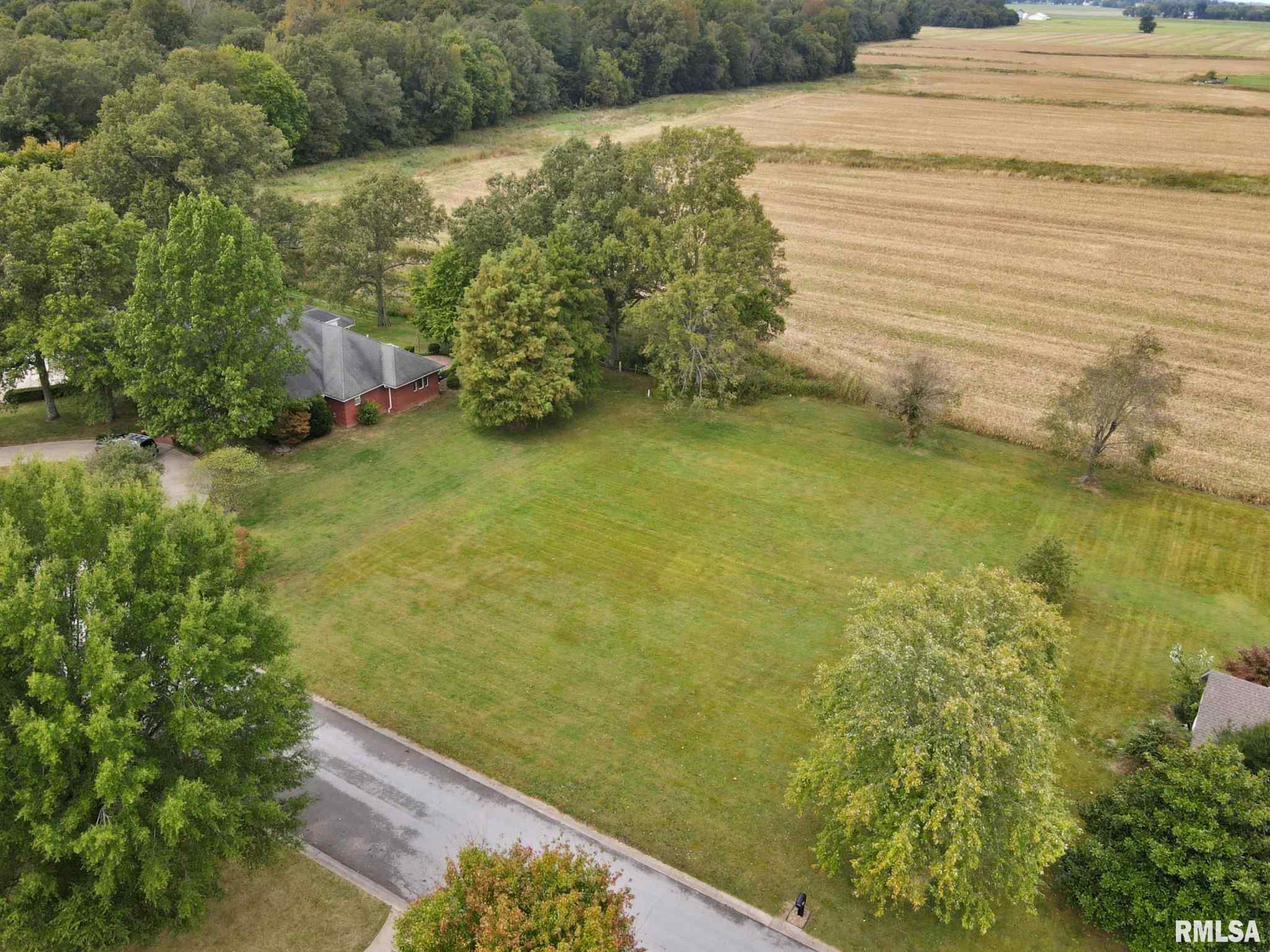 0 Hawthorne Lane Metropolis, IL 62960 - Photo 2 of 14