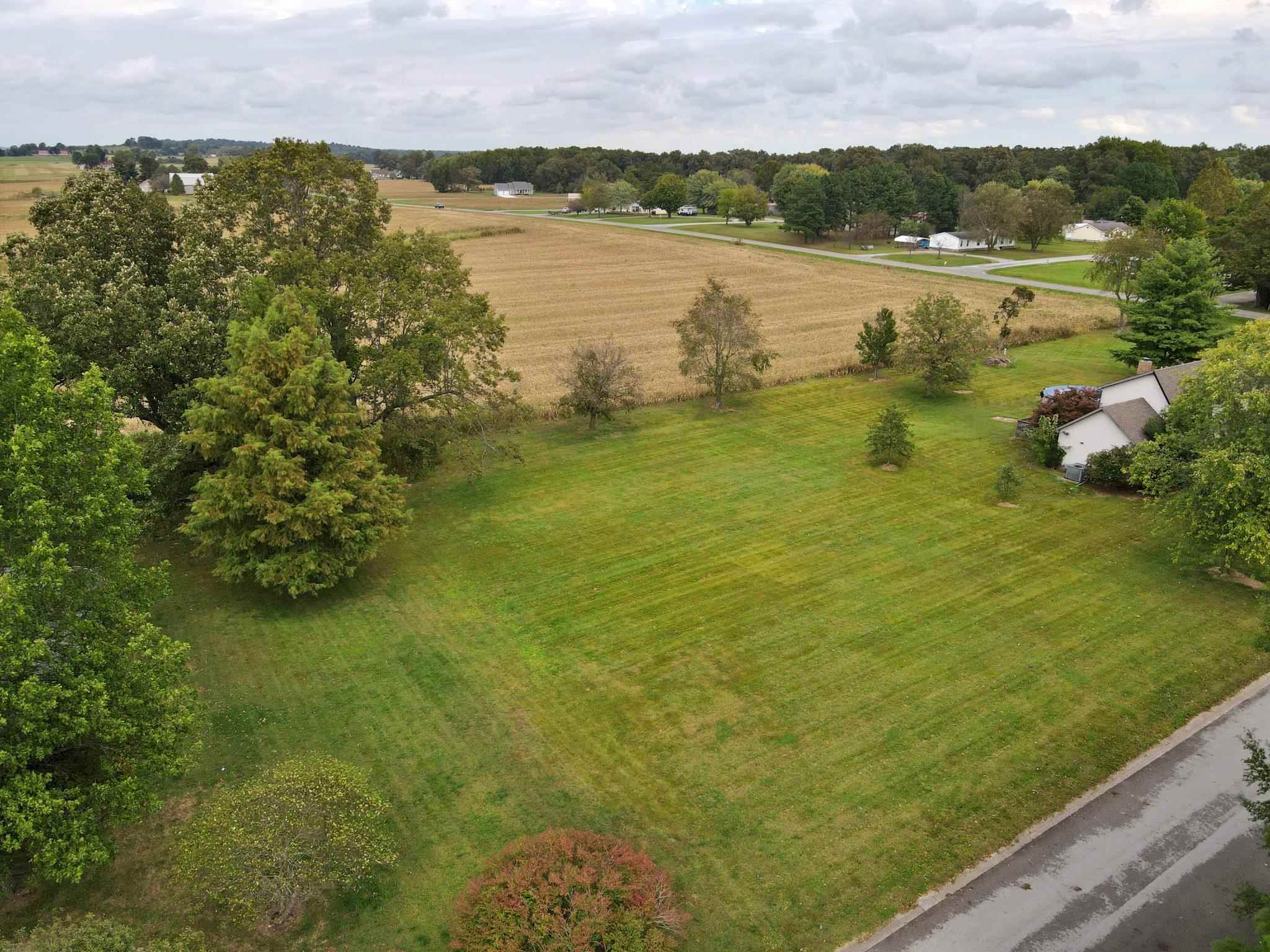 0 Hawthorne Lane Metropolis, IL 62960 - Photo 3 of 14