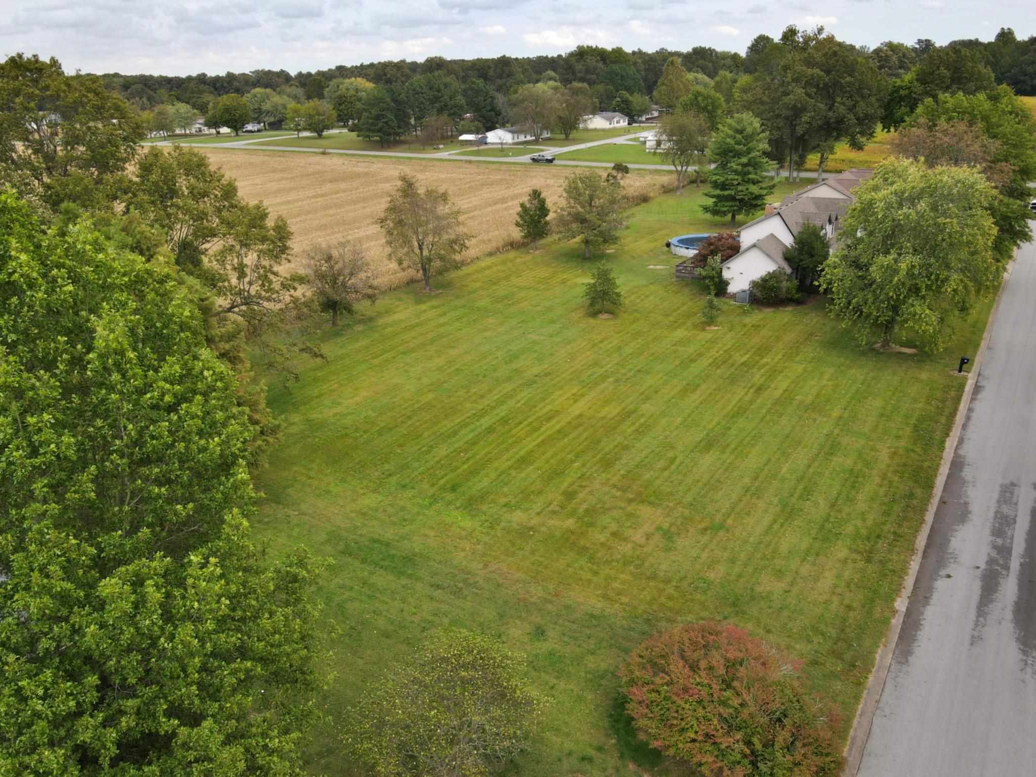 0 Hawthorne Lane Metropolis, IL 62960 - Photo 4 of 14