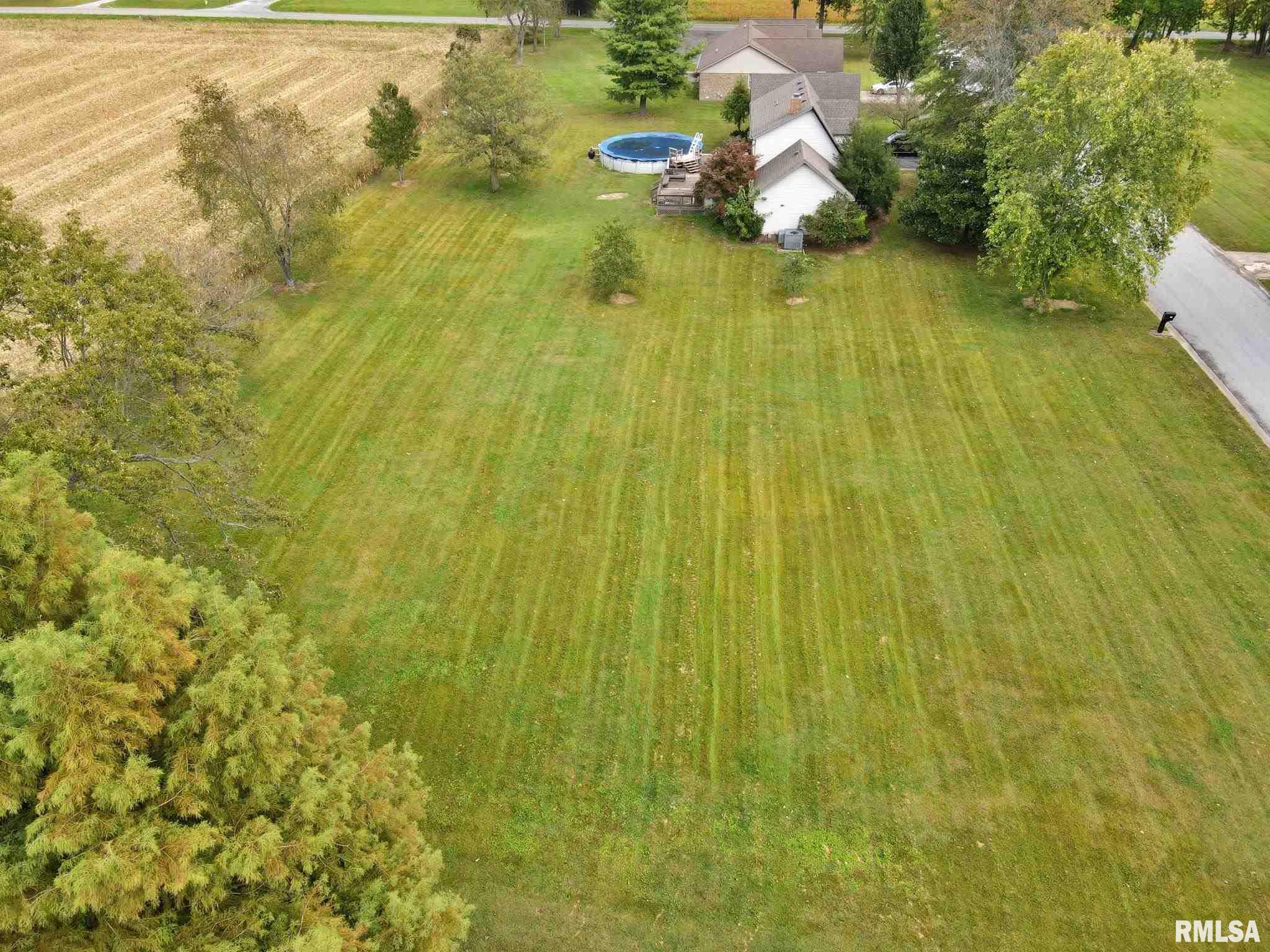 0 Hawthorne Lane Metropolis, IL 62960 - Photo 7 of 14