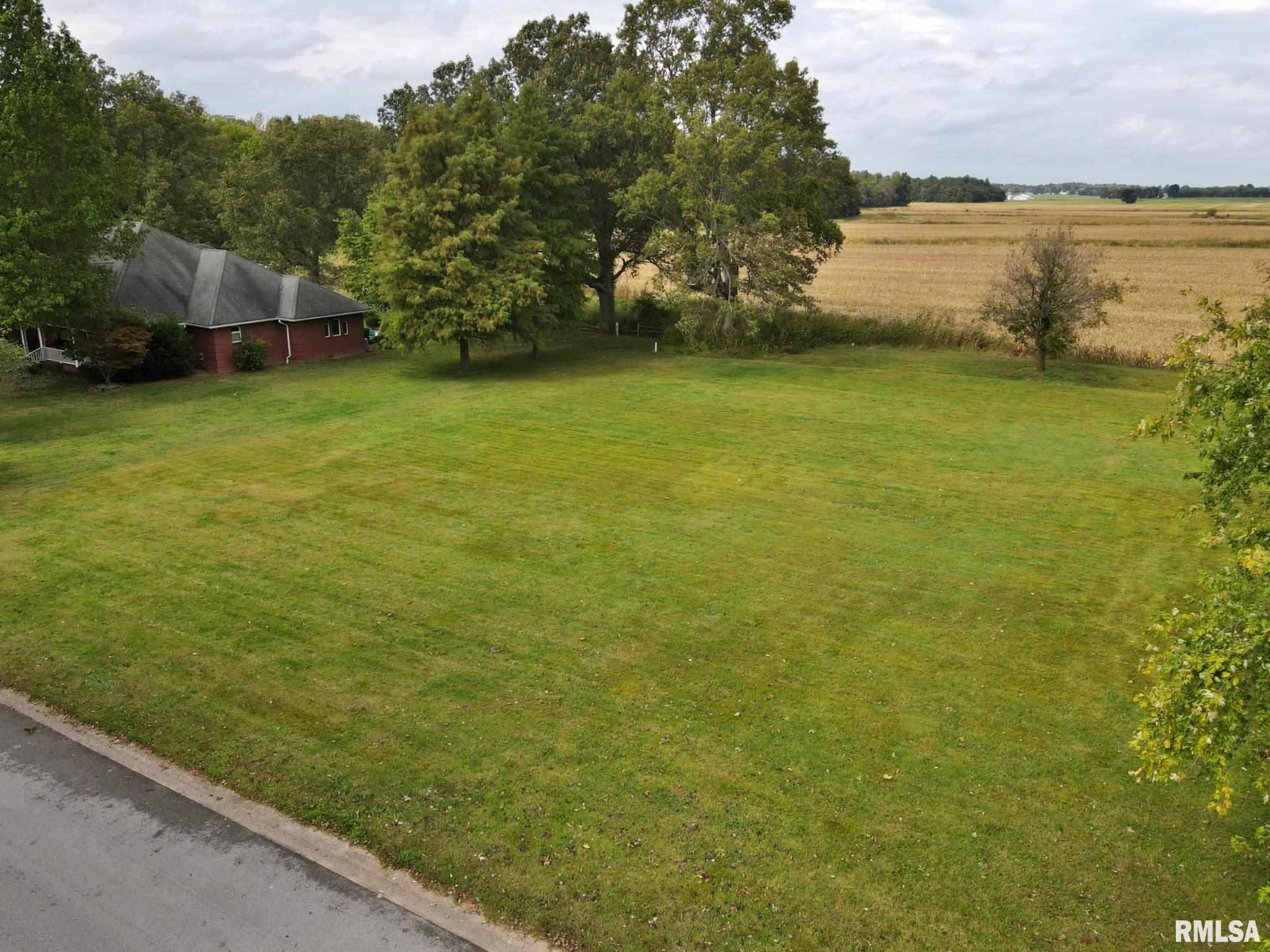 0 Hawthorne Lane Metropolis, IL 62960 - Photo 8 of 14