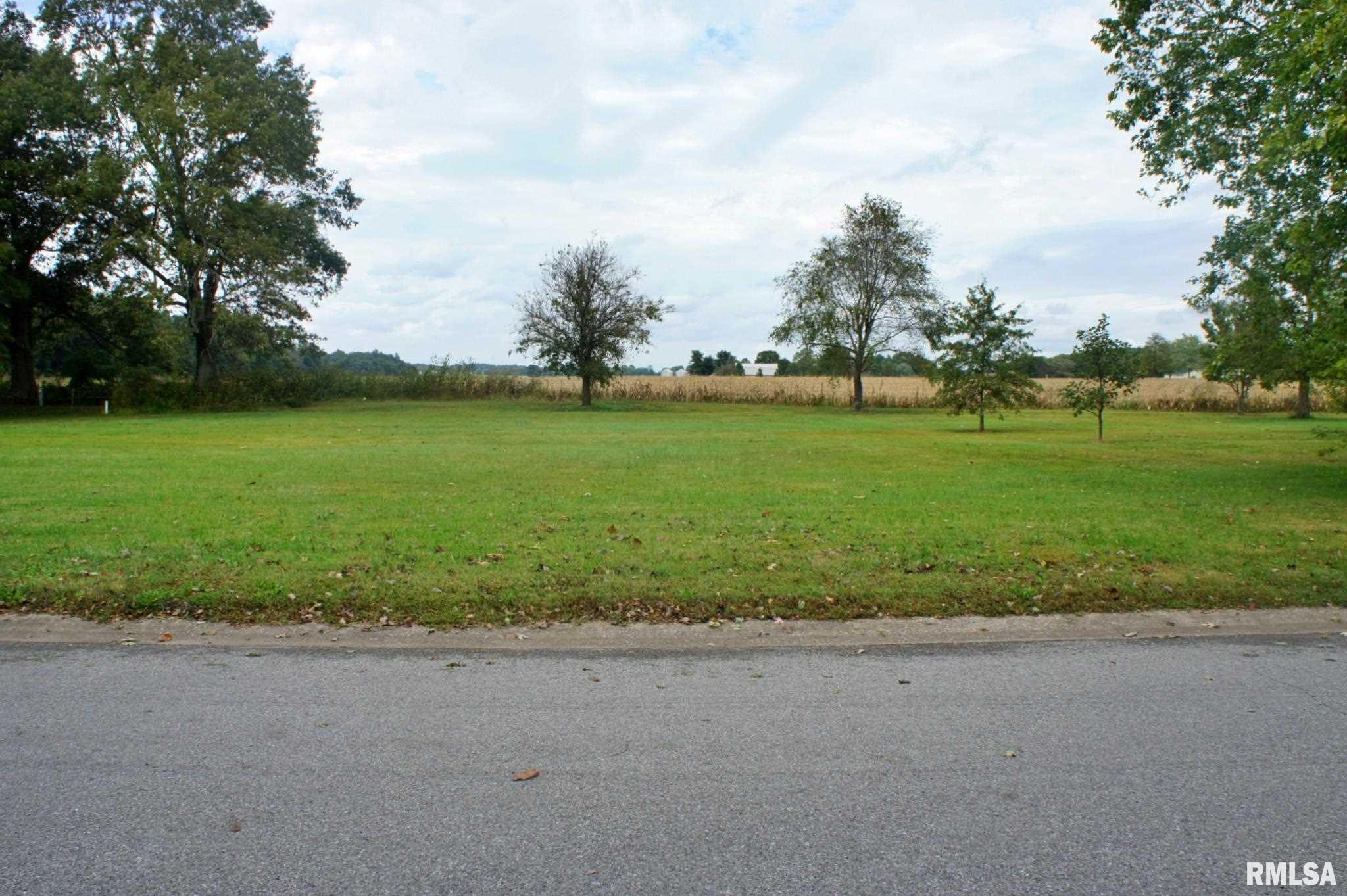 0 Hawthorne Lane Metropolis, IL 62960 - Photo 9 of 14