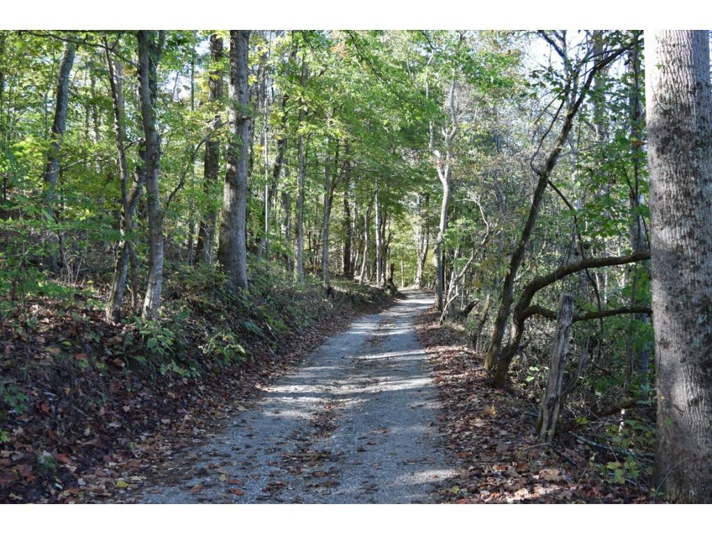 427 Laurels Road Johnson City, TN 37601 - Photo 18 of 19 Long Private road to property
