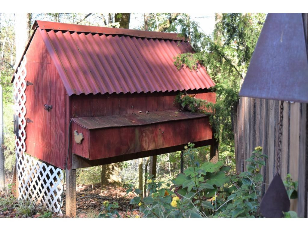 427 Laurels Road Johnson City, TN 37601 - Photo 6 of 19 Chicken house