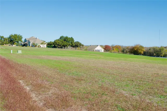 a view of a field with an trees
