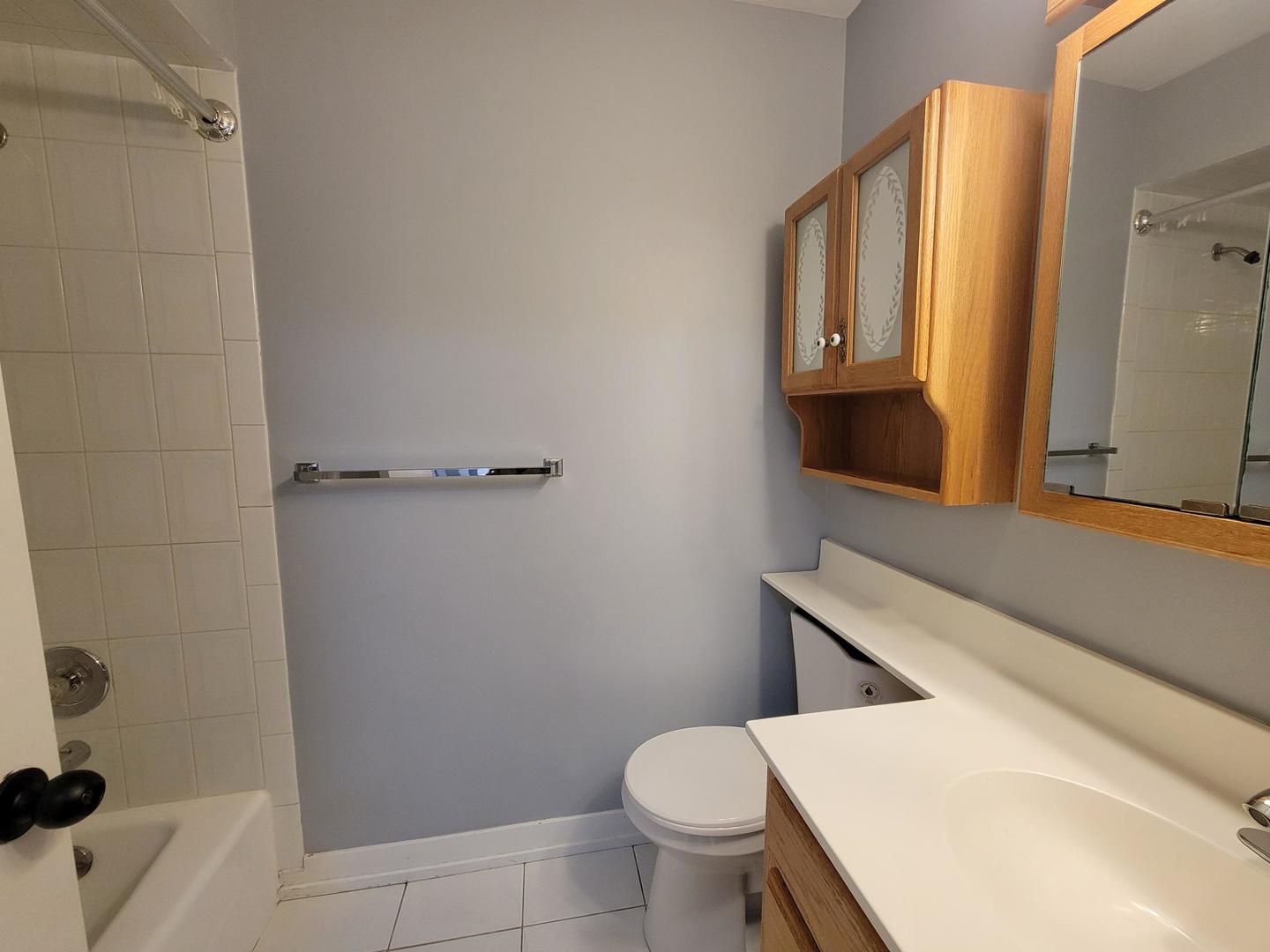 1001 East Callero Circle, Unit 1 Mount Prospect, IL 60056 - Photo 9 of 14 a bathroom with a sink a toilet and shower