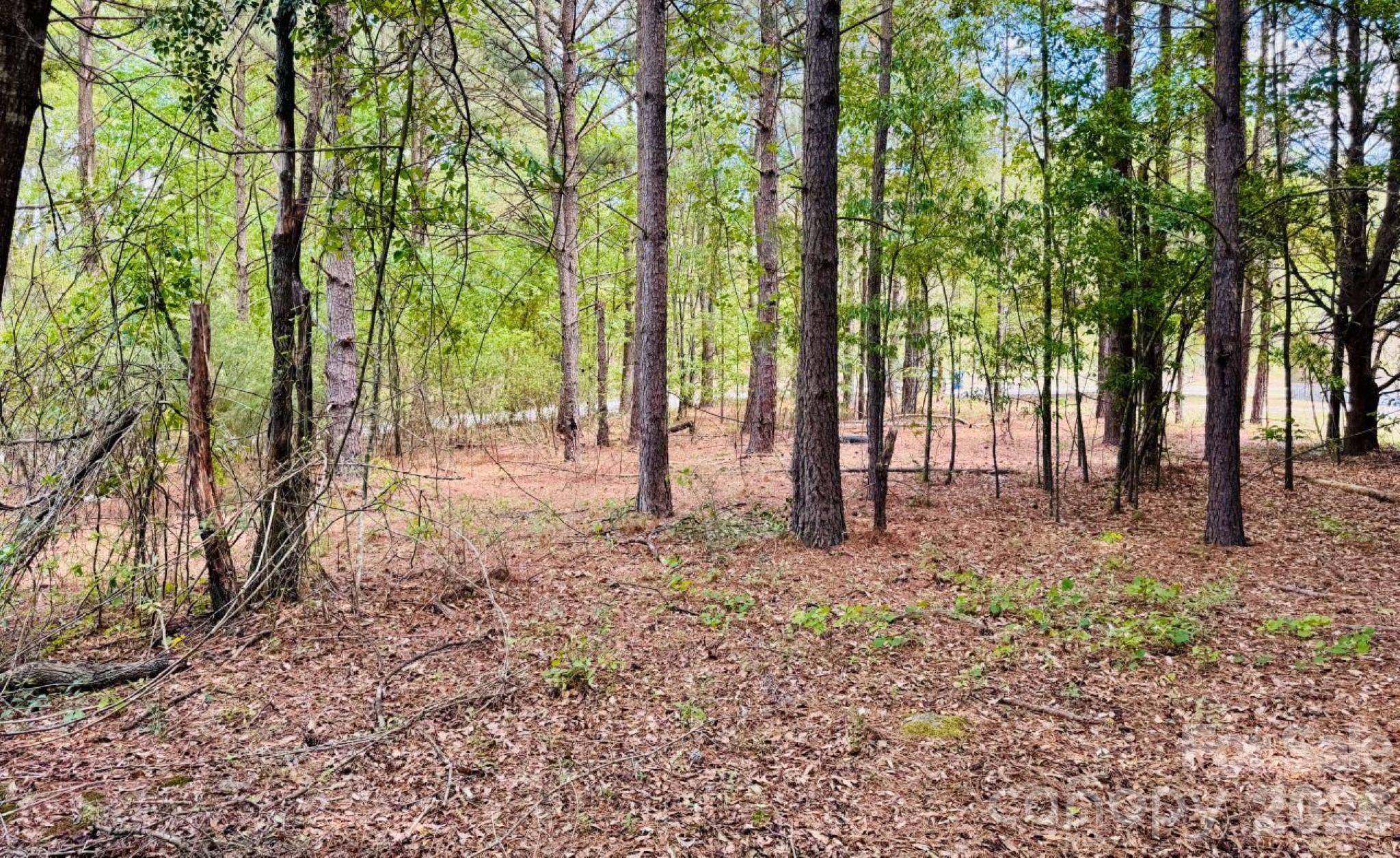 385 Elbert Baskins Road Cheraw, SC 29520 - Photo 9 of 11 Gallery Image 9