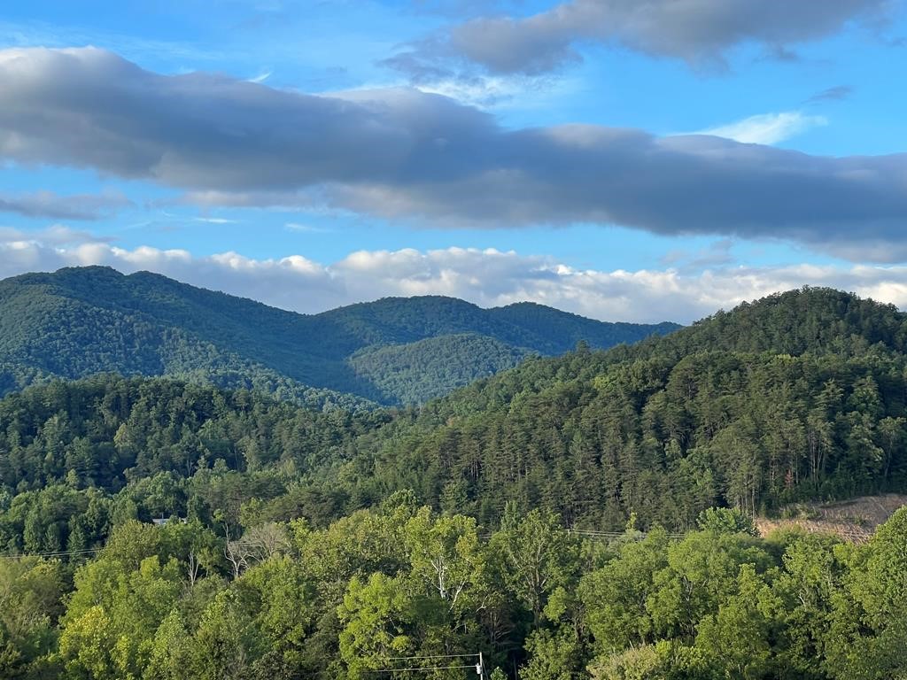 1 Catnip Del Rio, TN 37727 - Photo 1 of 1 a view of a lush green hillside and a mountain
