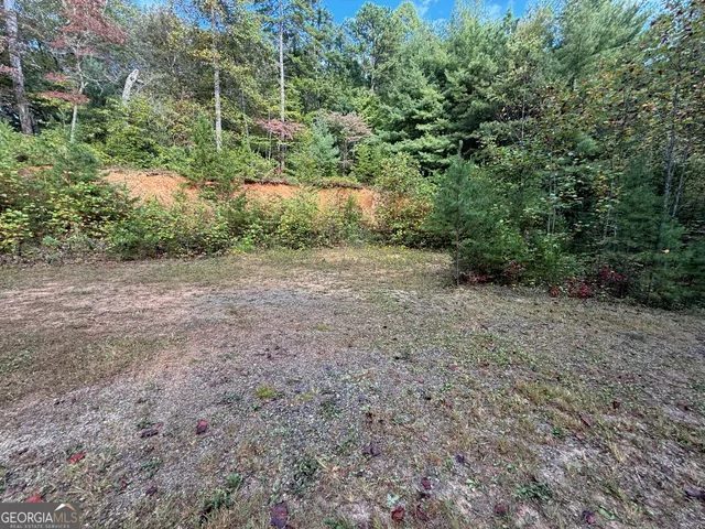 $69,000 | 0 Hwy 197, Clayton, GA 30525