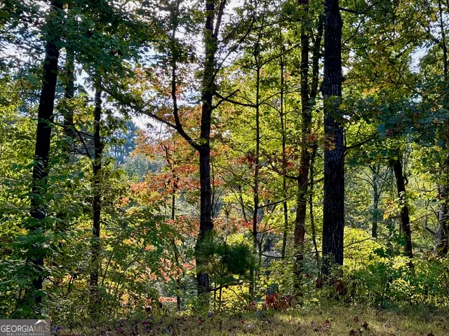 $69,000 | 0 Hwy 197, Clayton, GA 30525