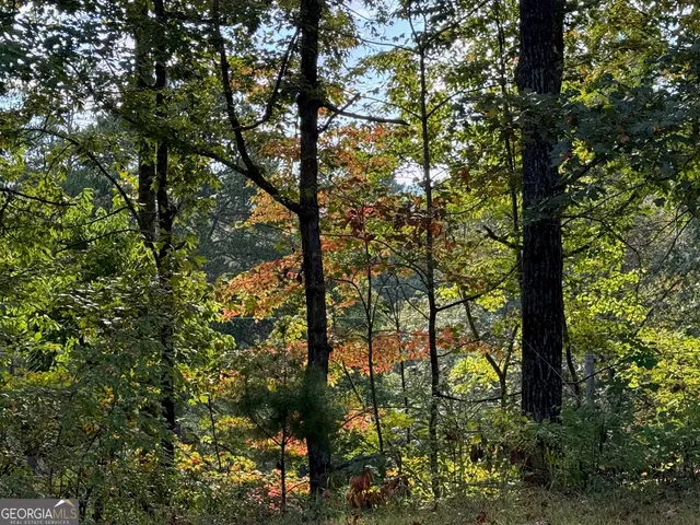 $69,000 | 0 Hwy 197, Clayton, GA 30525