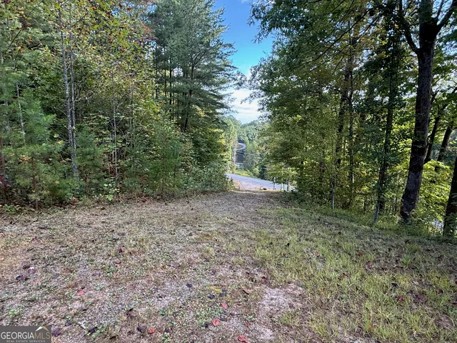 $69,000 | 0 Hwy 197, Clayton, GA 30525