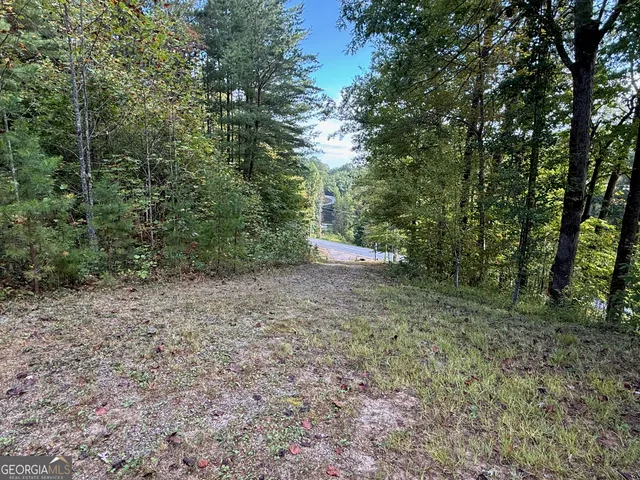 $69,000 | 0 Hwy 197, Clayton, GA 30525