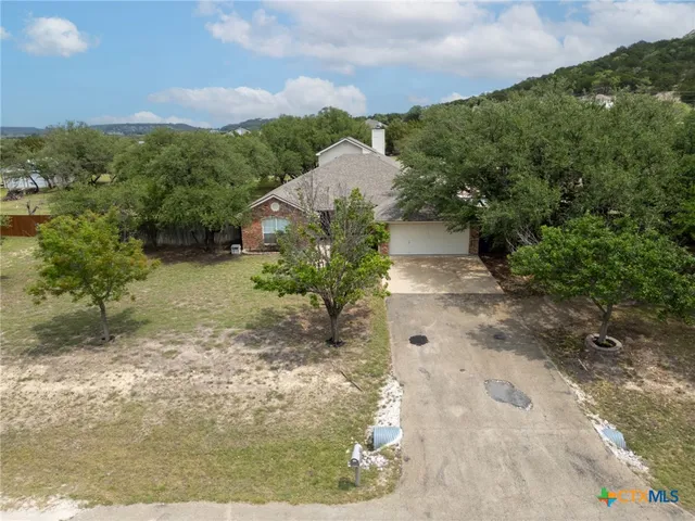 a view of a yard with plants and a bench