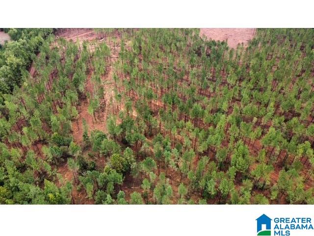 231 Us Highway Mathews, AL 36052 - Photo 21 of 22
