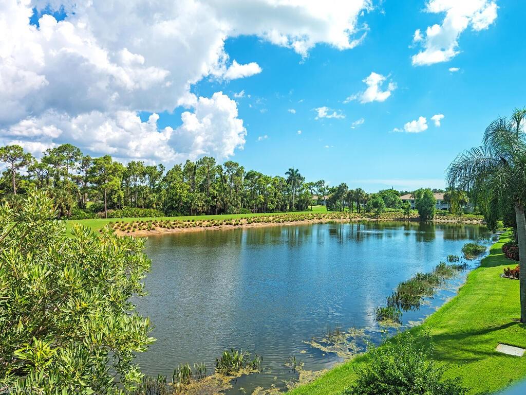 9351 Spring Run Boulevard, Unit 3203 Estero, FL 34135 - Photo 14 of 14 View from the lanai