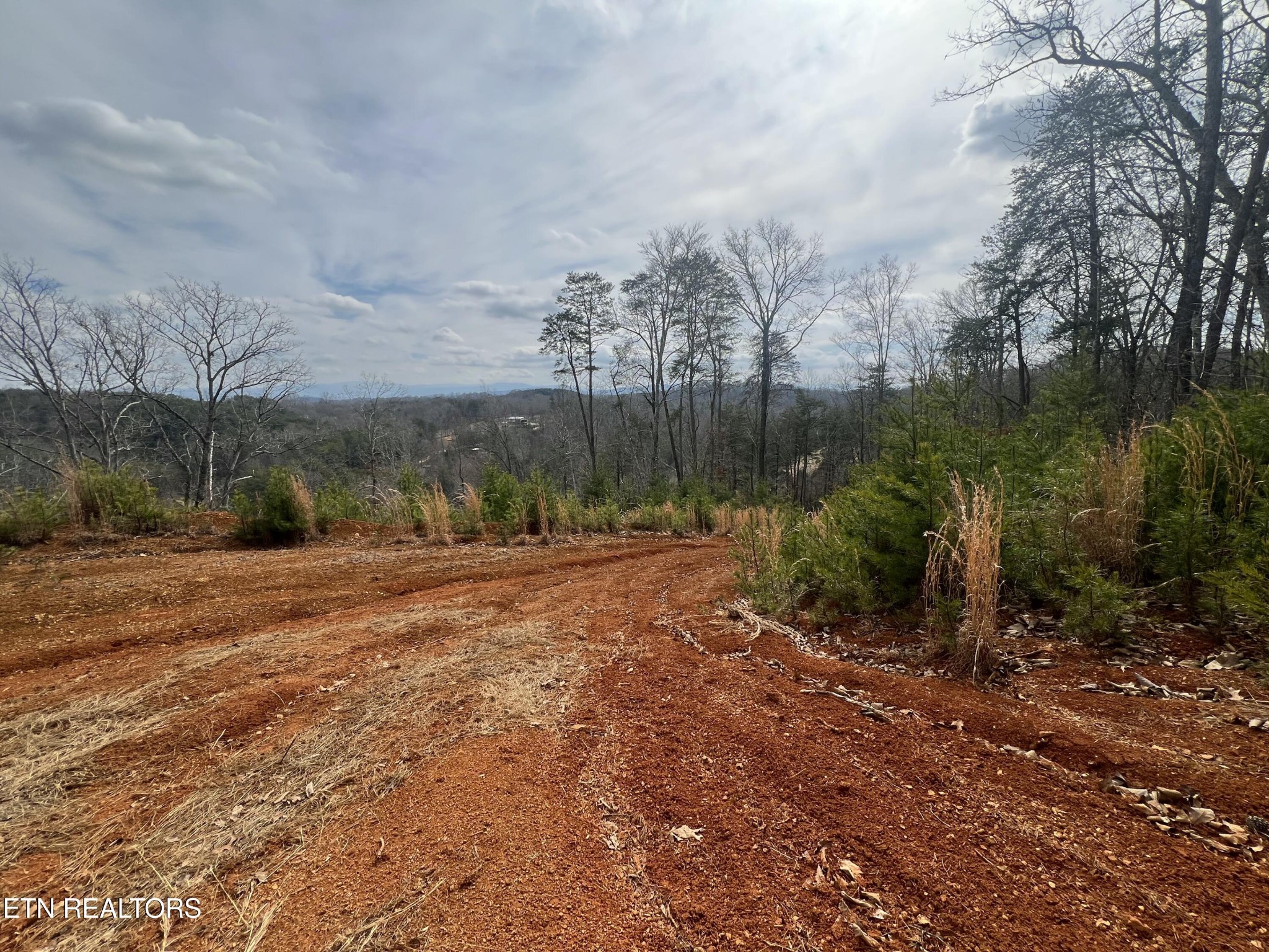 0 Griffith Branch Road Madisonville, TN 37354 - Photo 11 of 17 Gallery Image 11