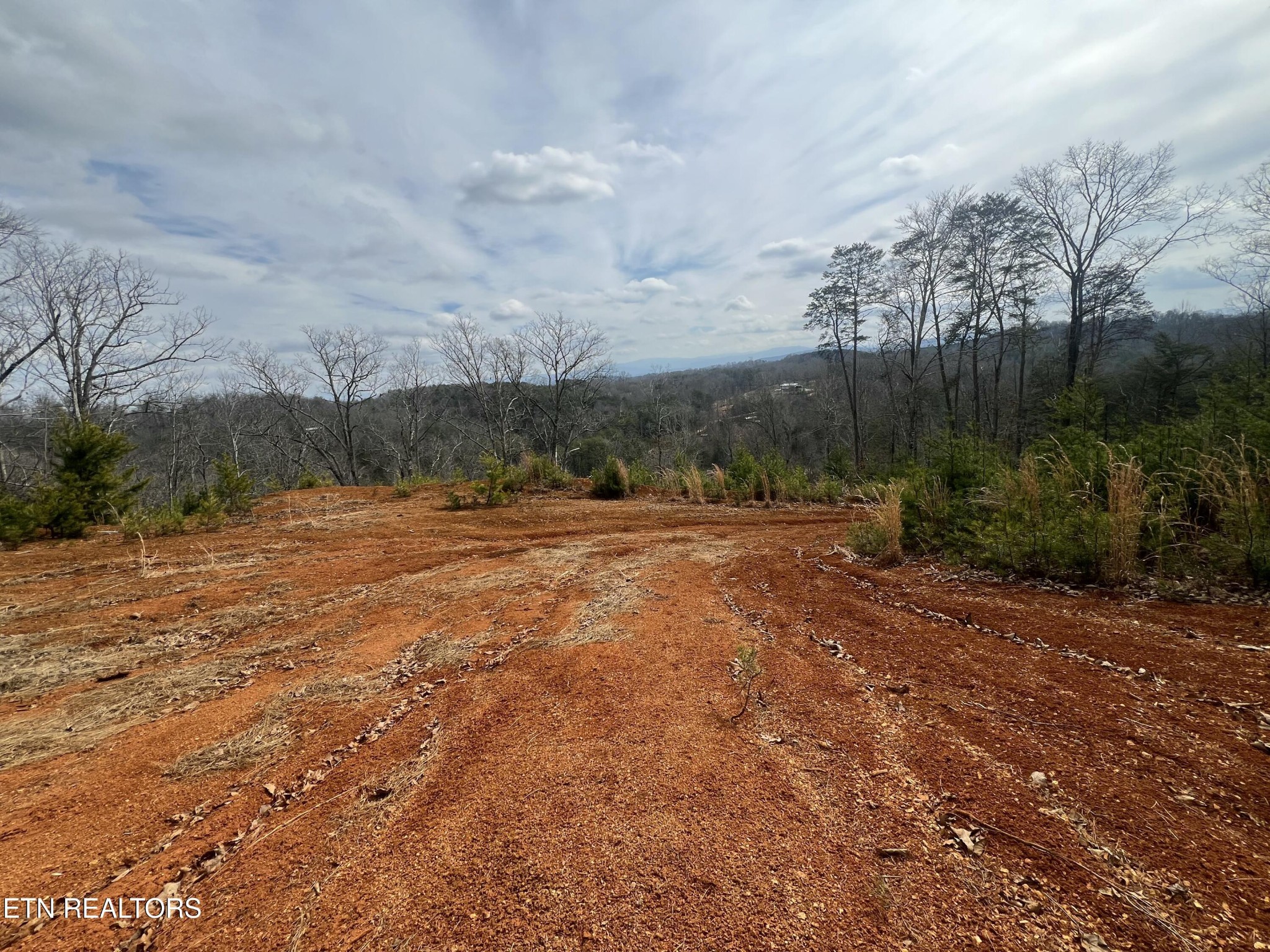 0 Griffith Branch Road Madisonville, TN 37354 - Photo 13 of 17 Gallery Image 13