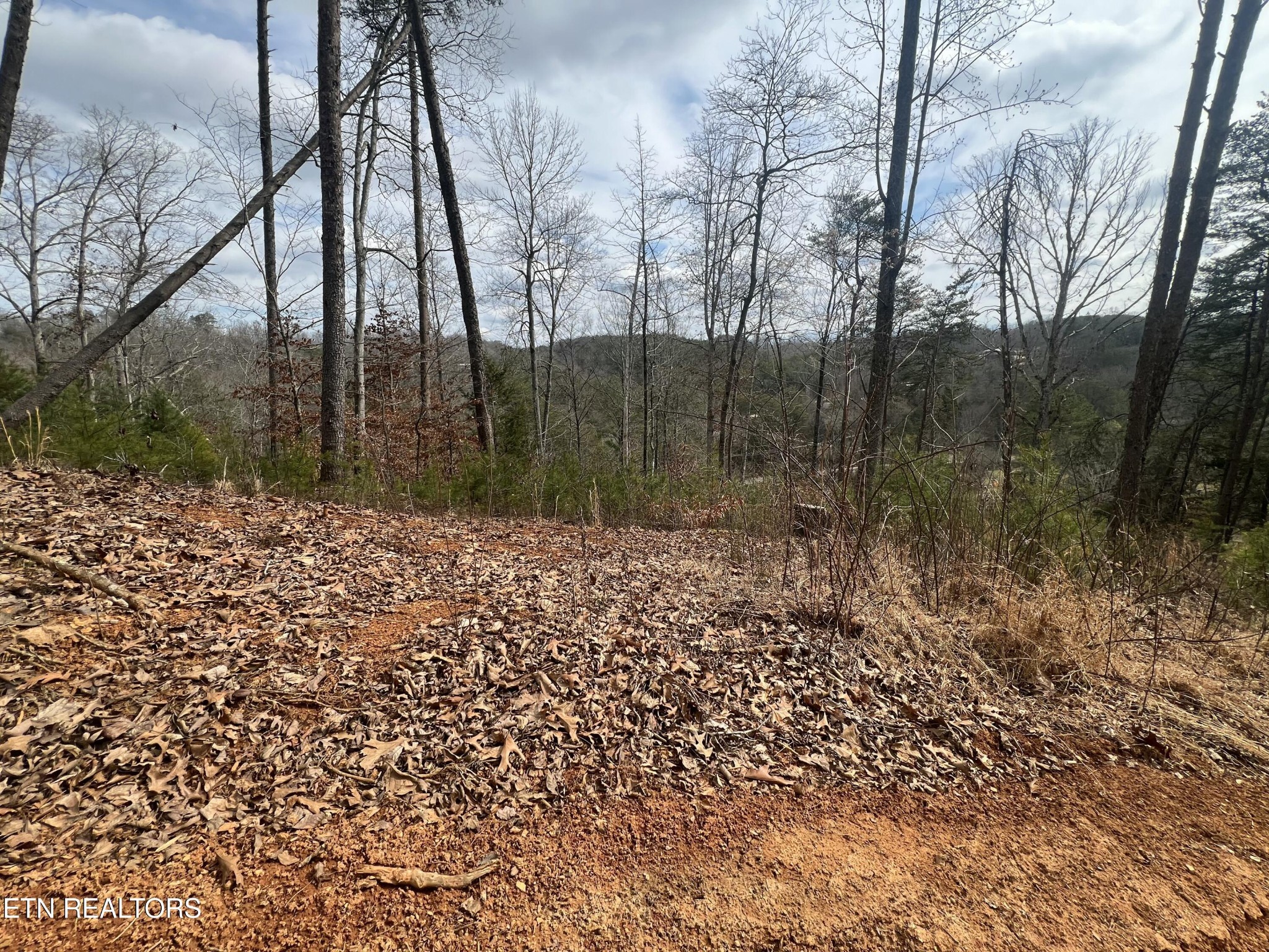 0 Griffith Branch Road Madisonville, TN 37354 - Photo 14 of 17 Gallery Image 14