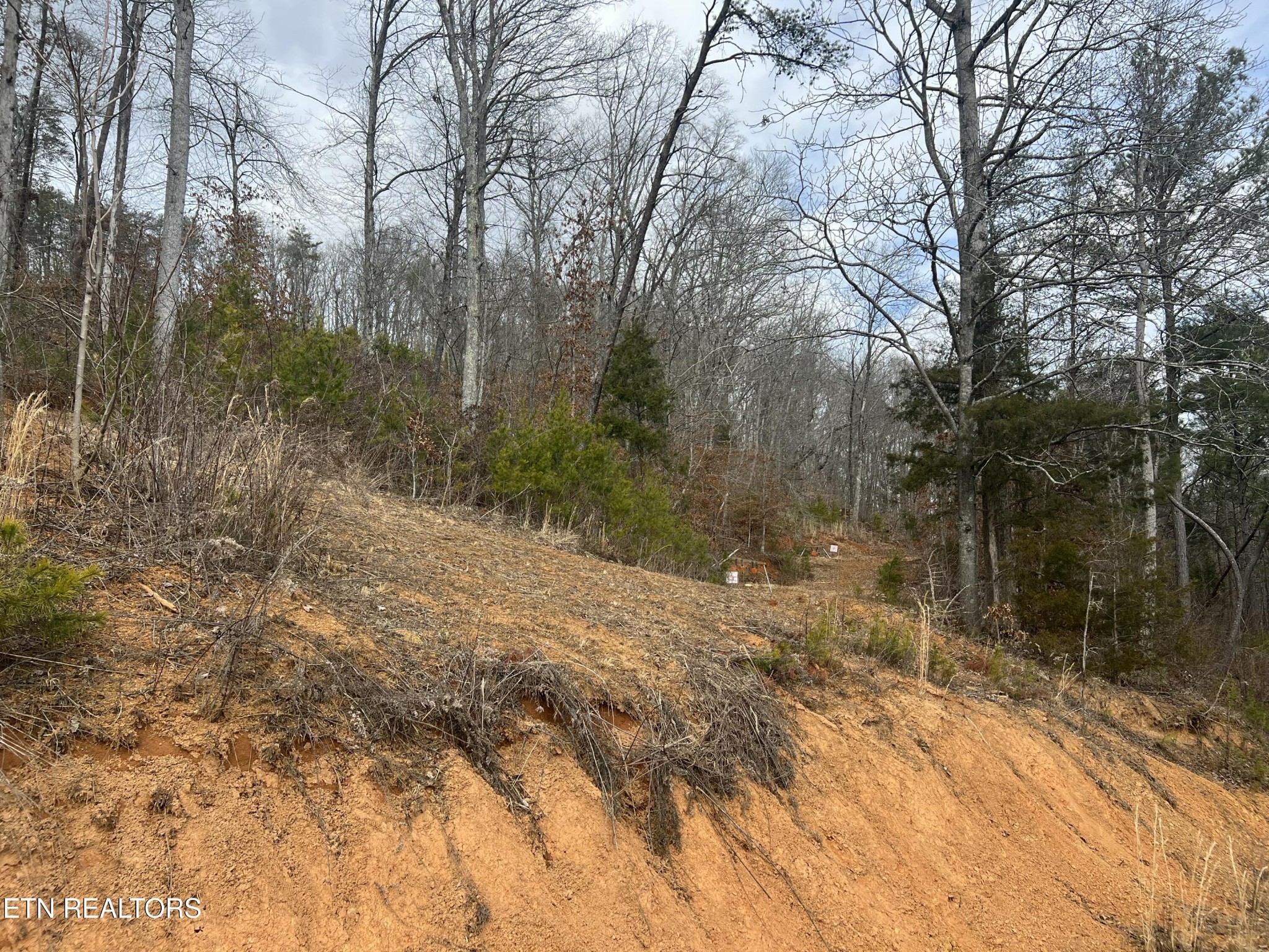 0 Griffith Branch Road Madisonville, TN 37354 - Photo 15 of 17 Gallery Image 15