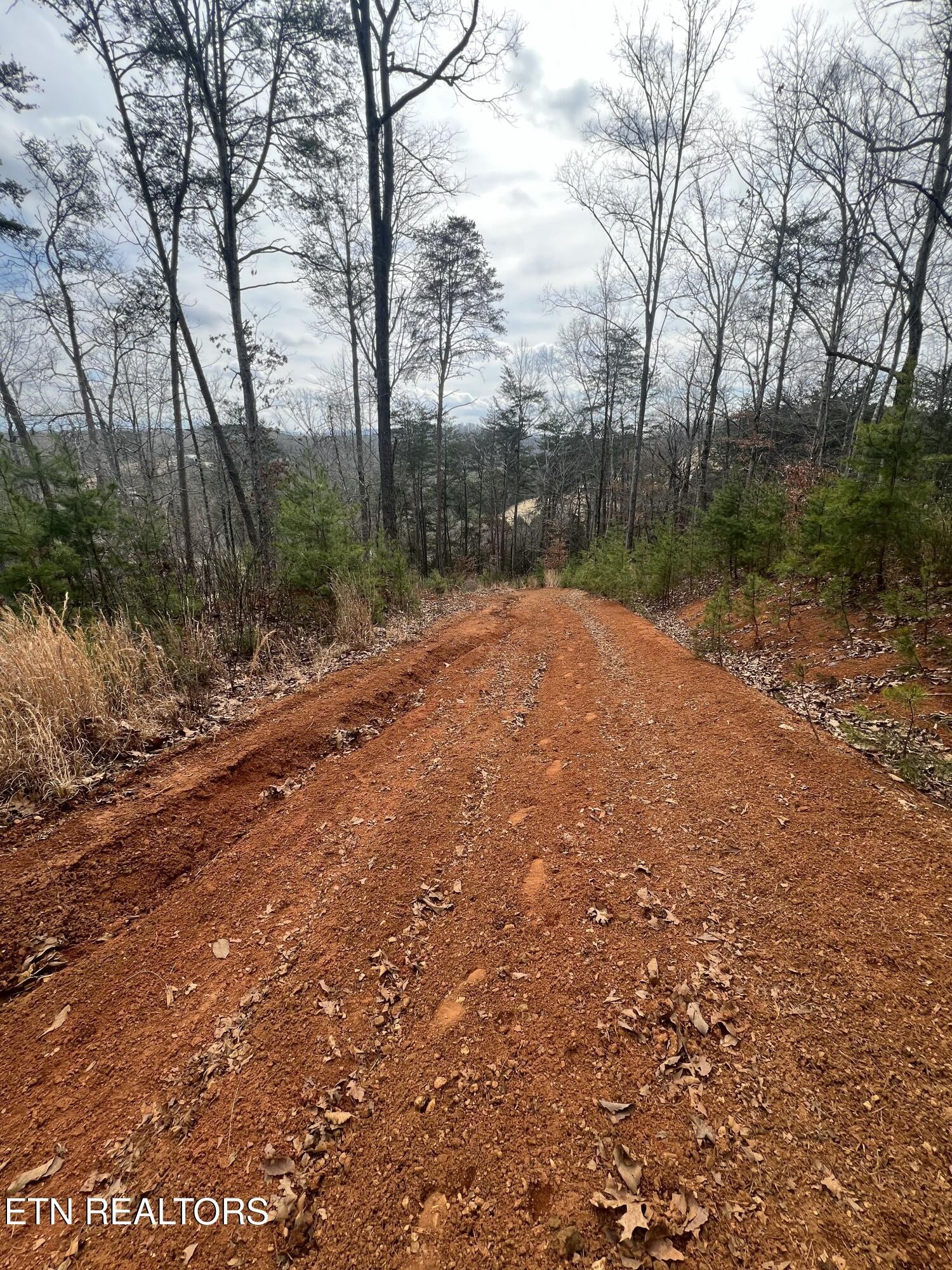 0 Griffith Branch Road Madisonville, TN 37354 - Photo 16 of 17 Gallery Image 16