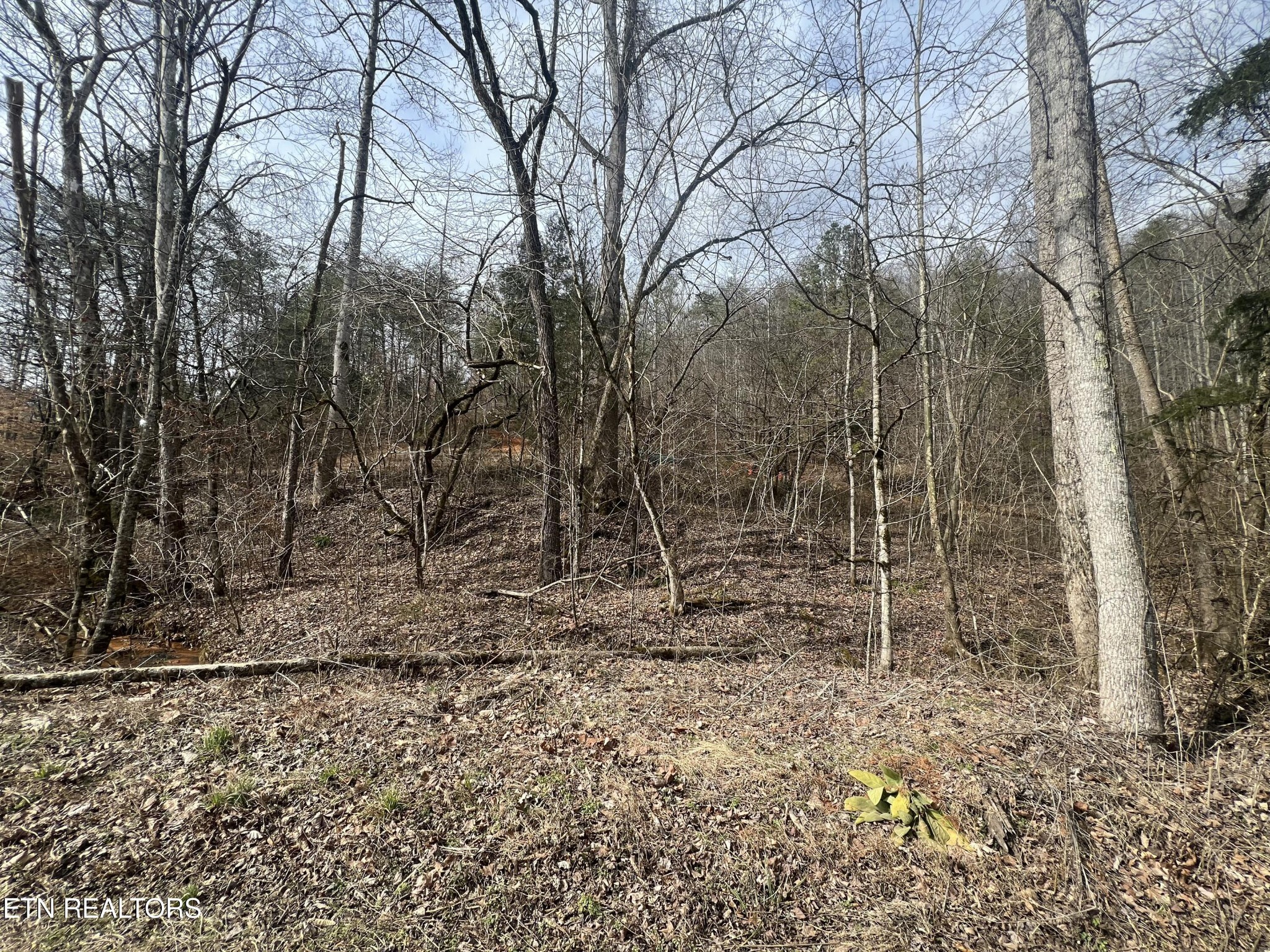 0 Griffith Branch Road Madisonville, TN 37354 - Photo 17 of 17 Gallery Image 17
