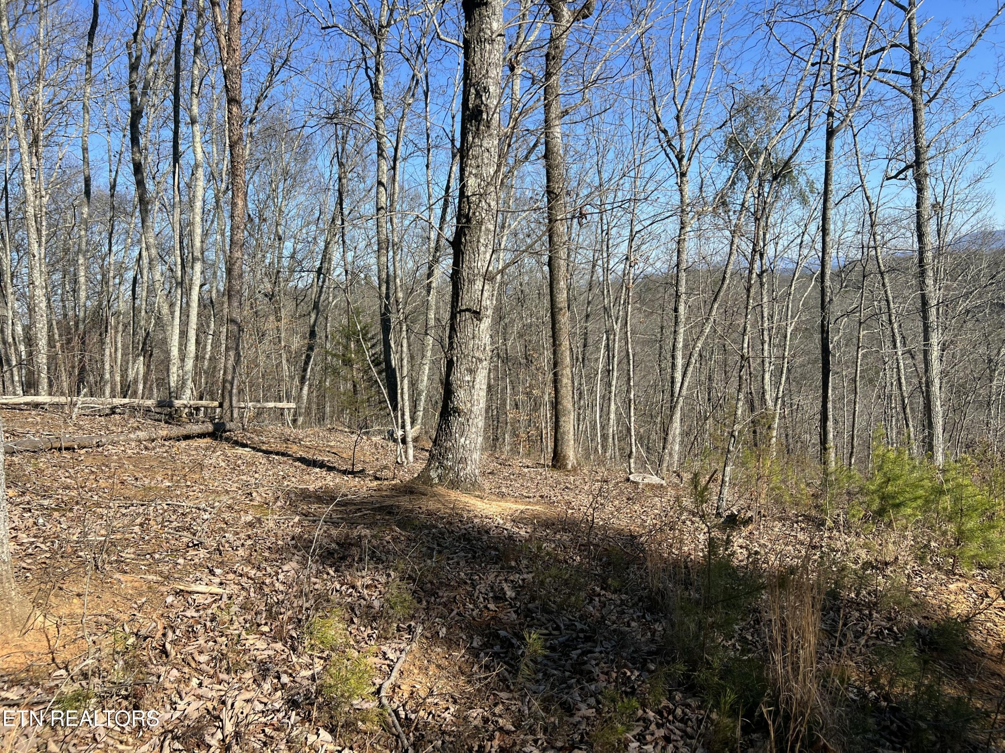 0 Griffith Branch Road Madisonville, TN 37354 - Photo 10 of 17 Gallery Image 10