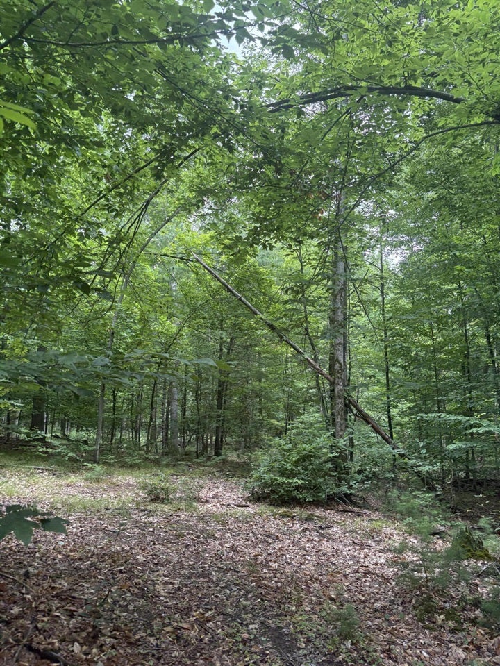 5 5 Mile Road Howard City, MI 49329 - Photo 29 of 99 Gallery Image 29